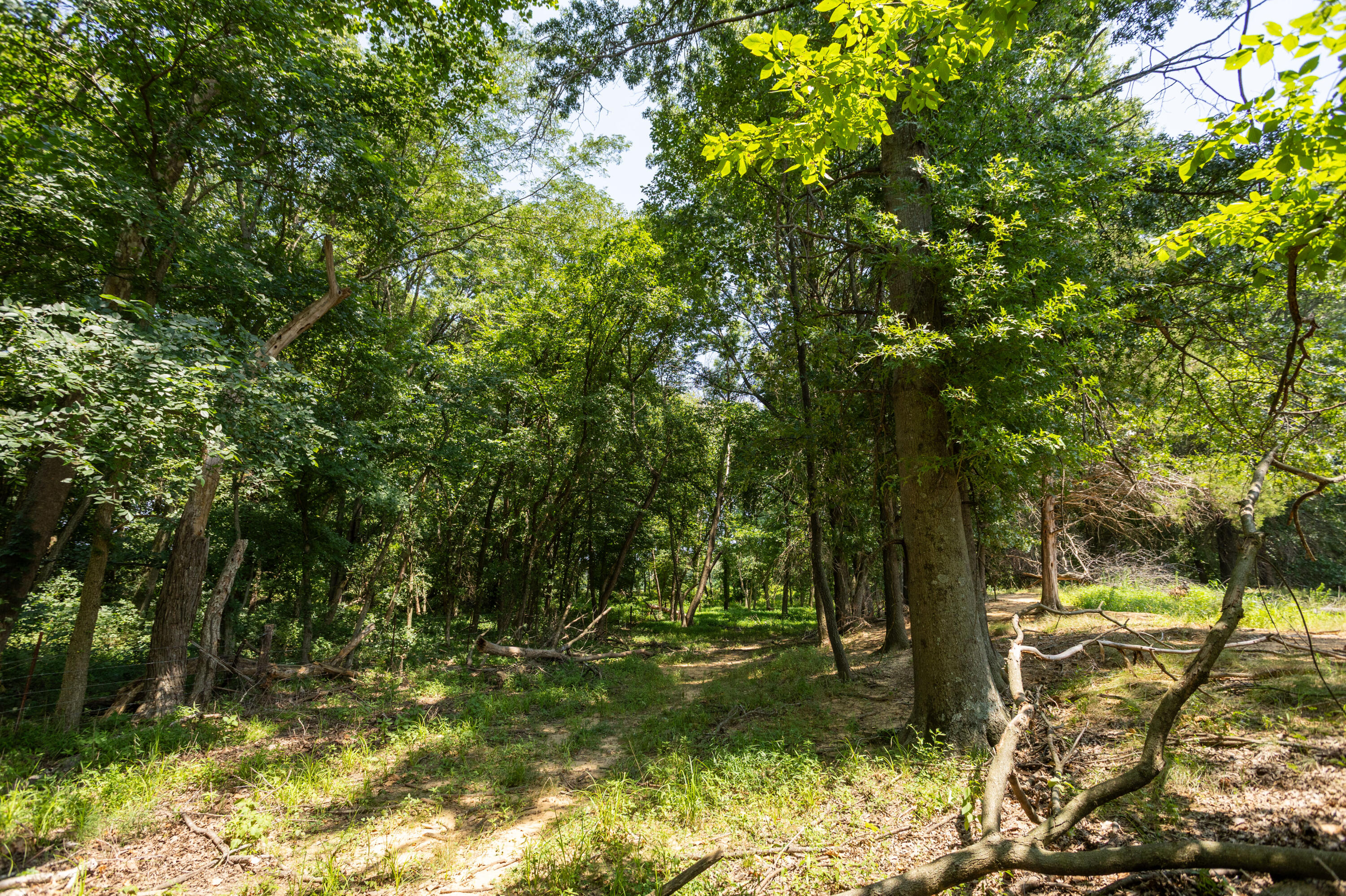 Photo 137 - Farm for sale – 1059 NE 100th Road  Sheldon, MO