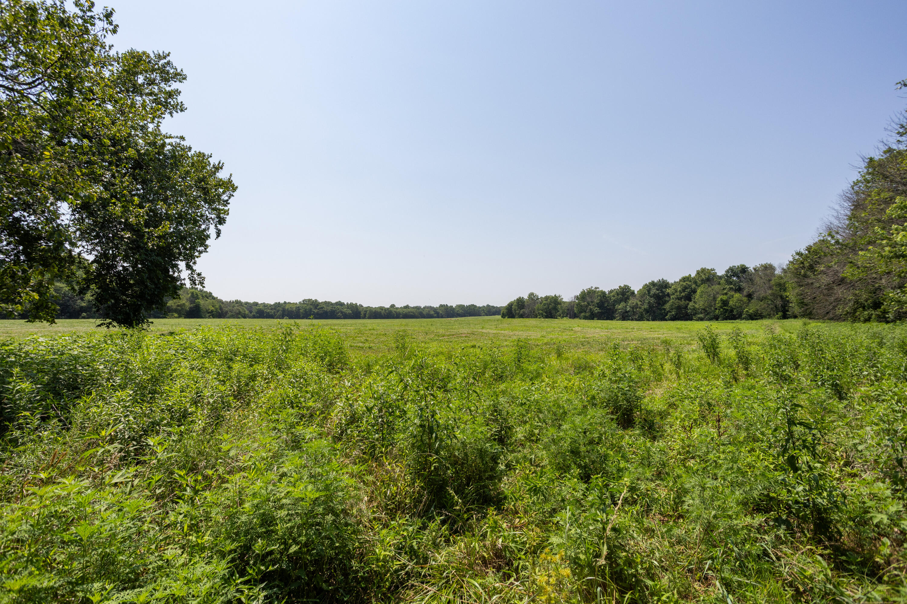 Photo 123 - Farm for sale – 1059 NE 100th Road  Sheldon, MO