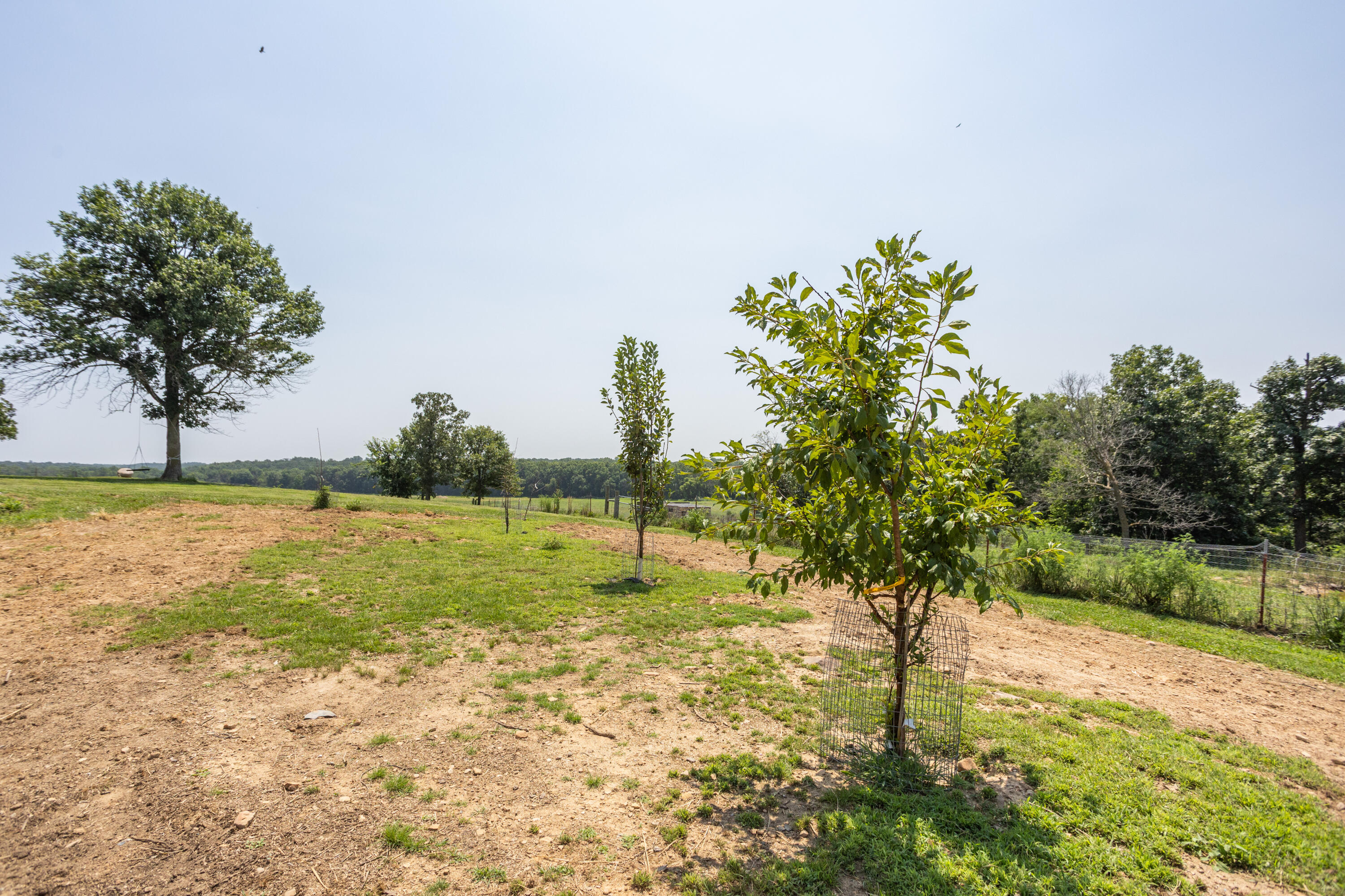 Photo 158 - Farm for sale – 1059 NE 100th Road  Sheldon, MO