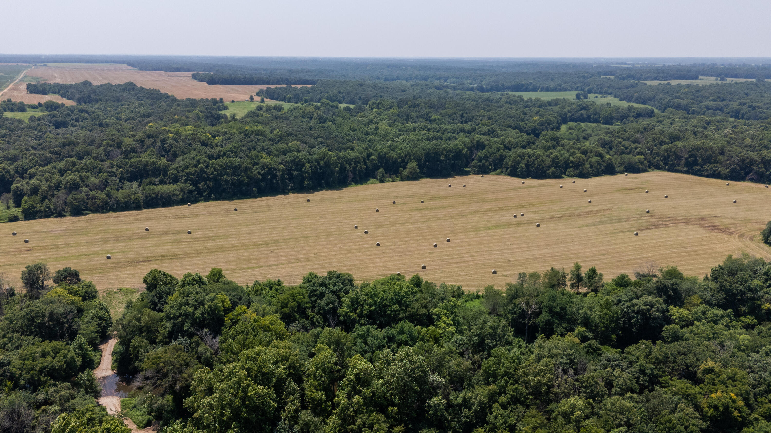 Photo 27 - Farm for sale – 1059 NE 100th Road  Sheldon, MO