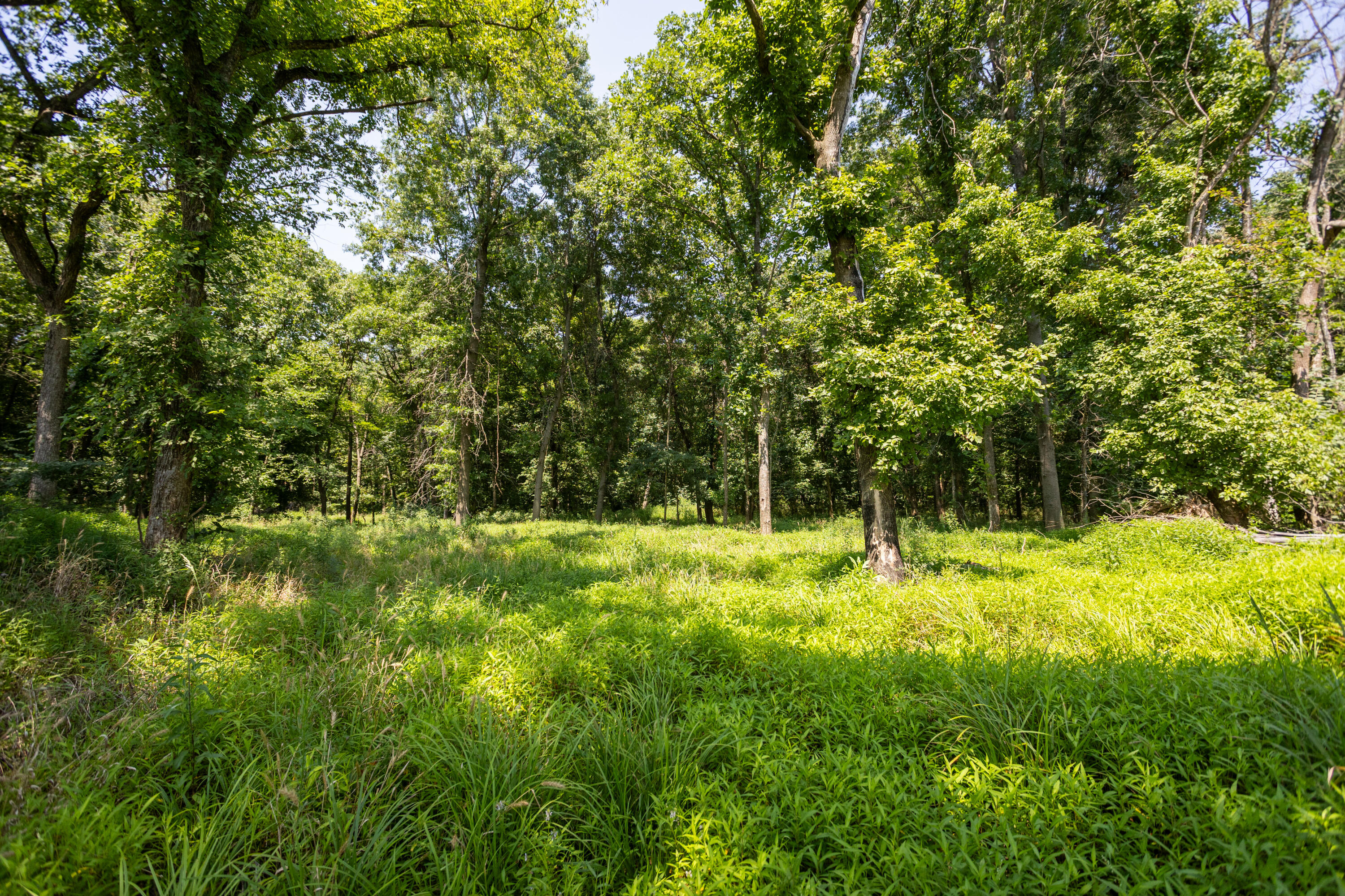 Photo 121 - Farm for sale – 1059 NE 100th Road  Sheldon, MO