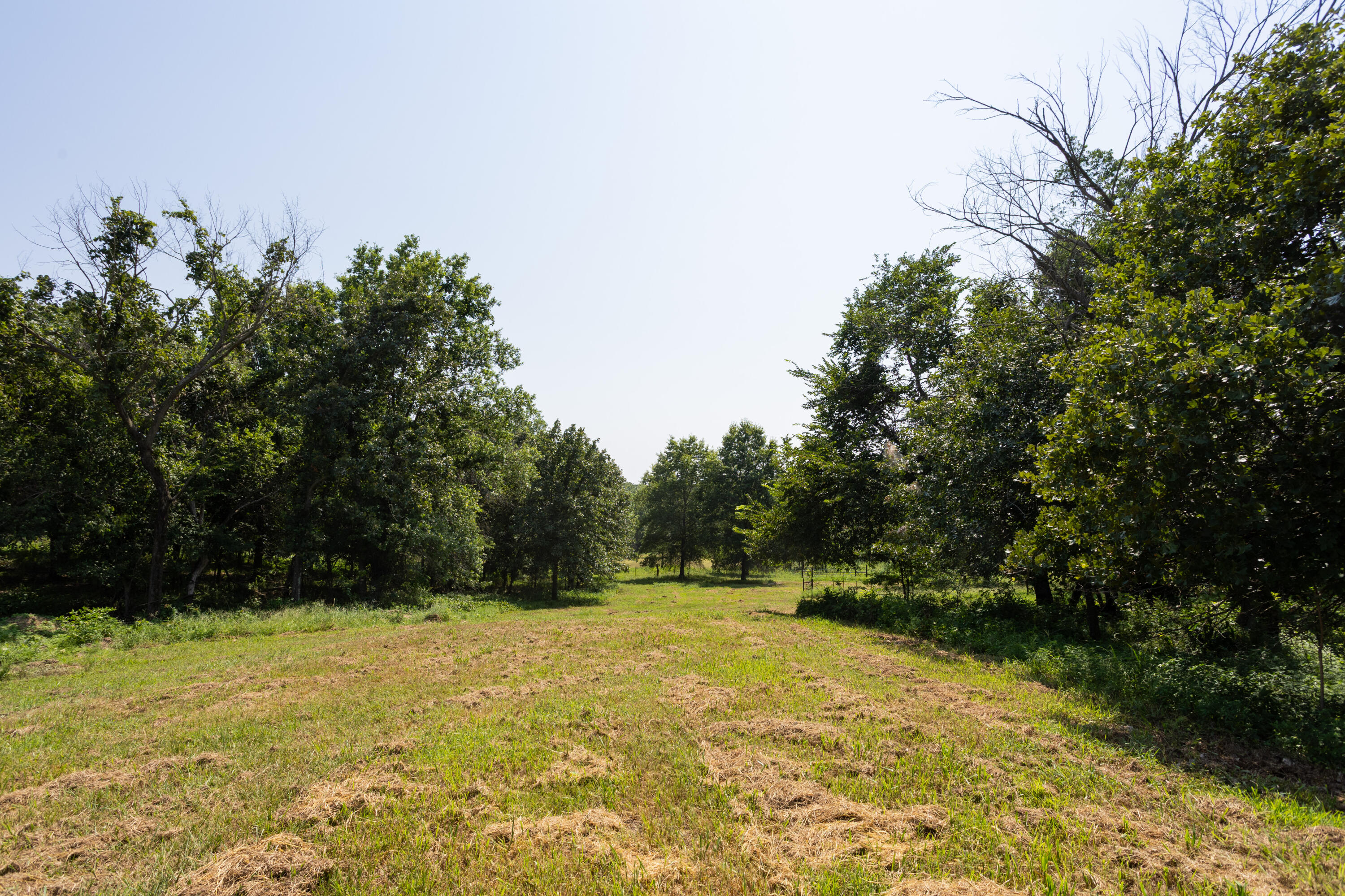 Photo 115 - Farm for sale – 1059 NE 100th Road  Sheldon, MO