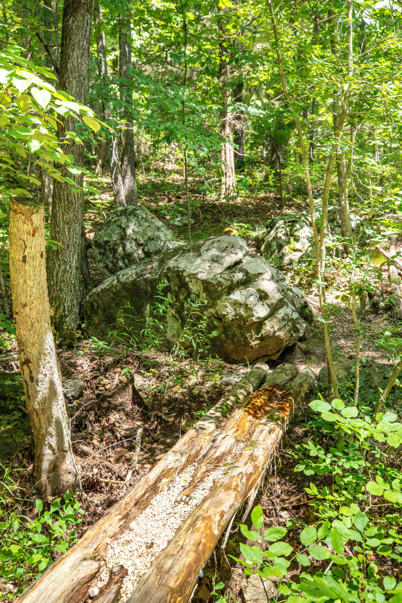 Photo 46 - Residential for sale – 3961  County Road 102   Eureka Springs, AR