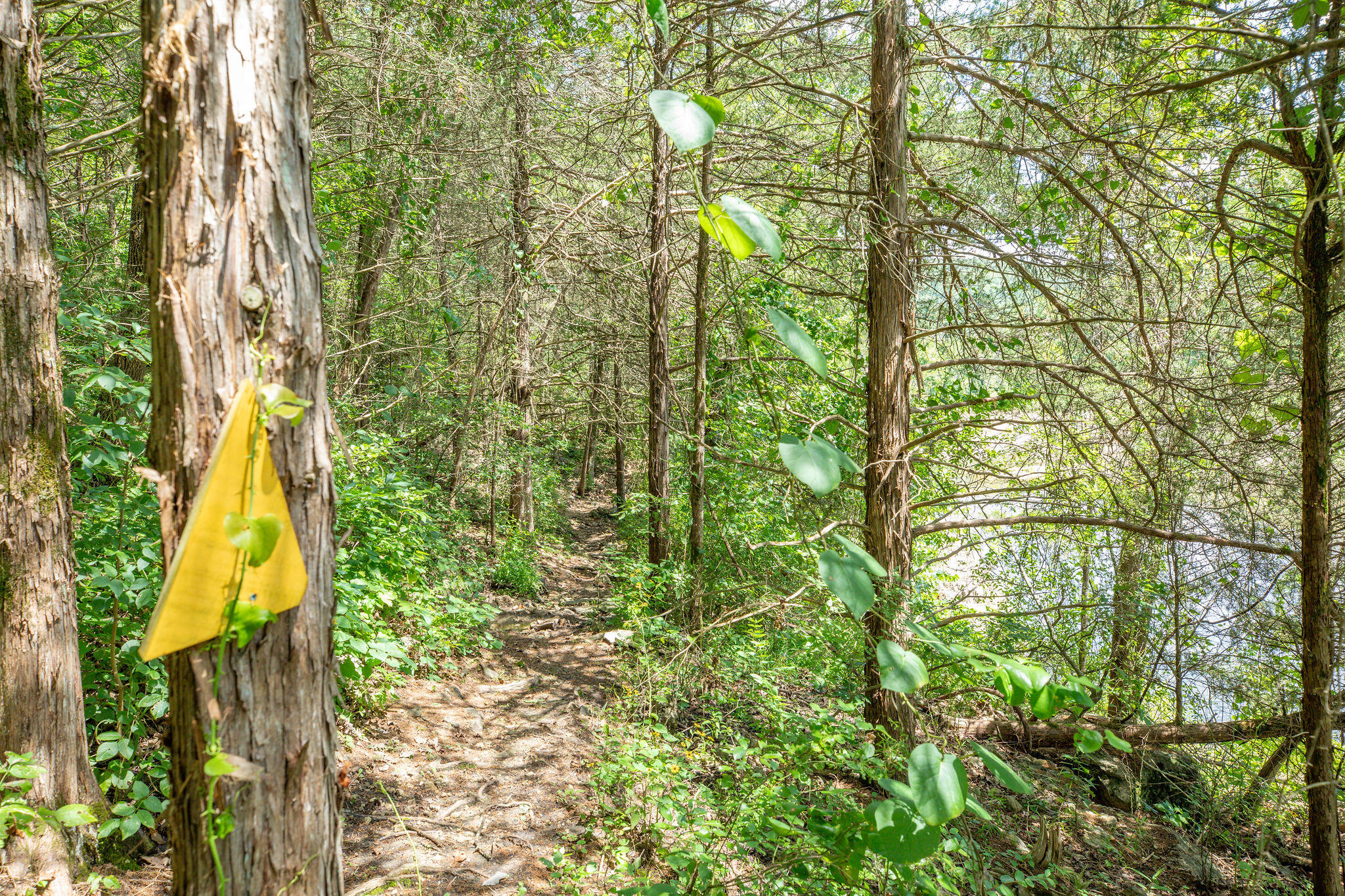 Photo 47 - Residential for sale – 3961  County Road 102   Eureka Springs, AR