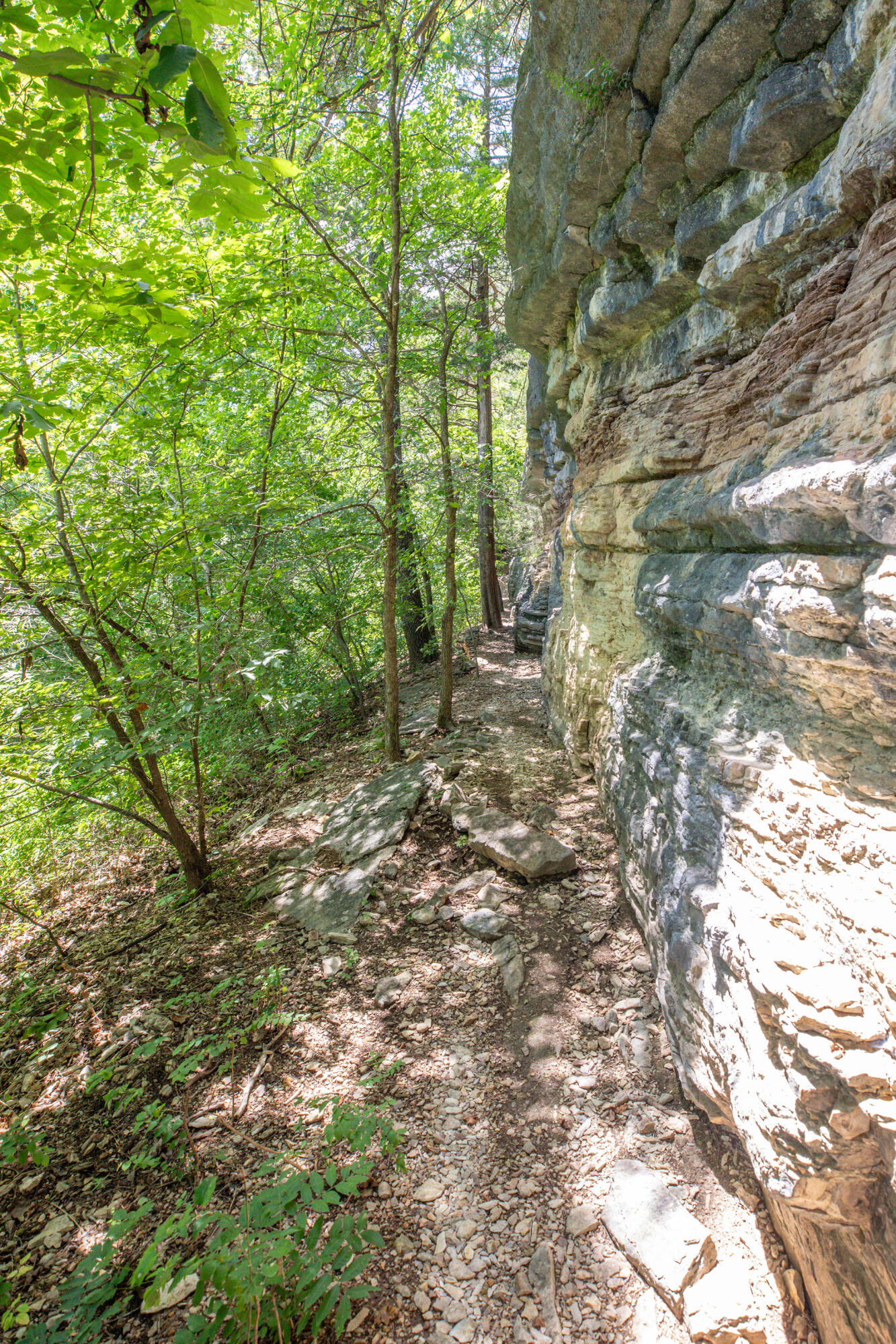Photo 42 - Residential for sale – 3961  County Road 102   Eureka Springs, AR