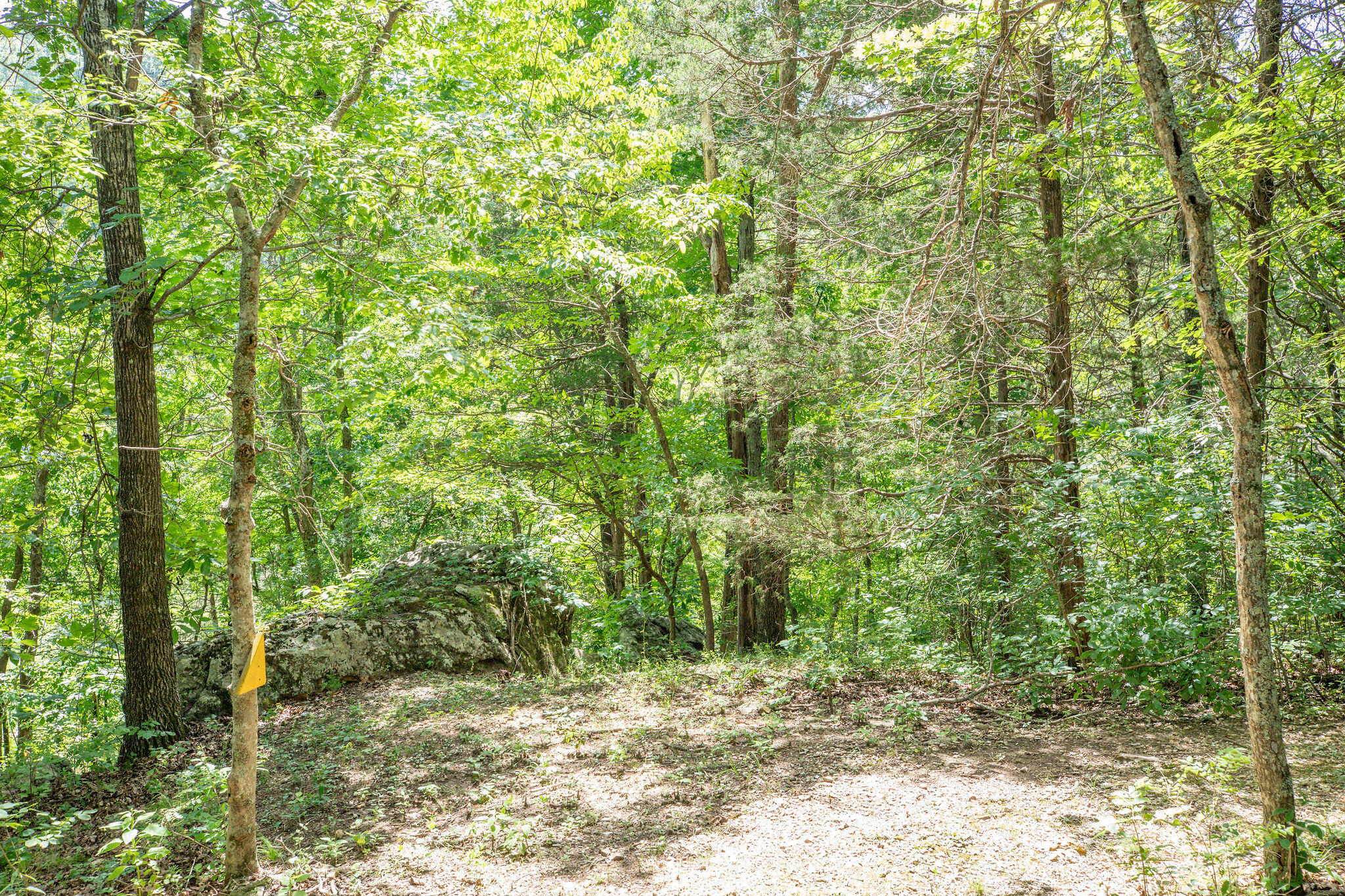Photo 44 - Residential for sale – 3961  County Road 102   Eureka Springs, AR
