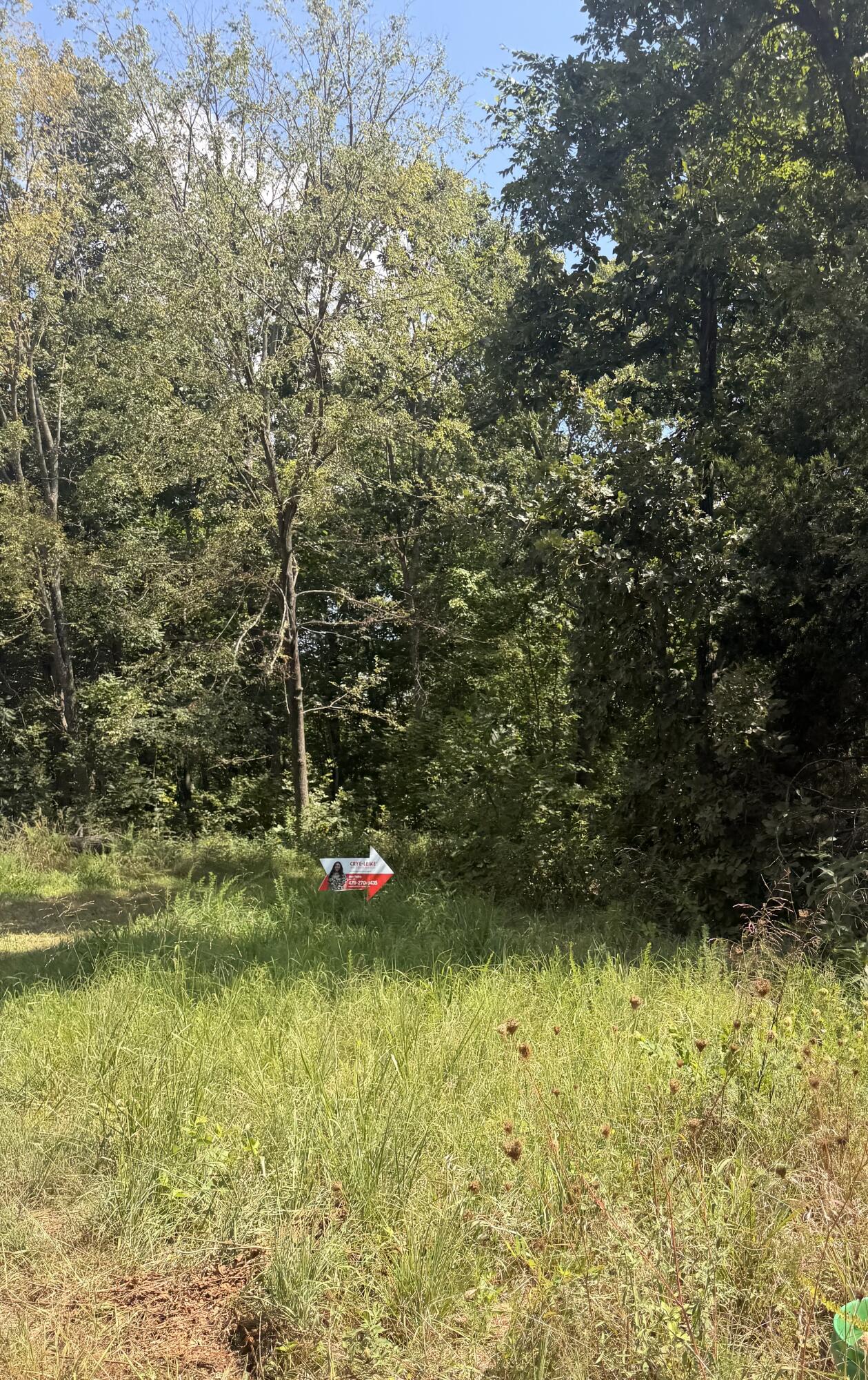 Photo 2 - Land for sale – 000  Buford Road  Noel, MO