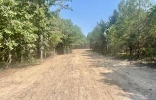 Photo 2 - Land for sale – Tract 1&2 W Highway 32   Licking, MO