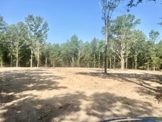 Photo 5 - Land for sale – Tract 1&2 W Highway 32   Licking, MO