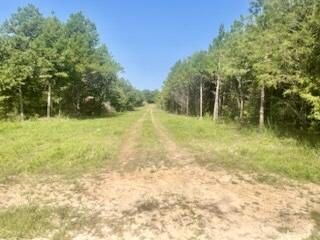 Photo 3 - Land for sale – Tract 1&2 W Highway 32   Licking, MO