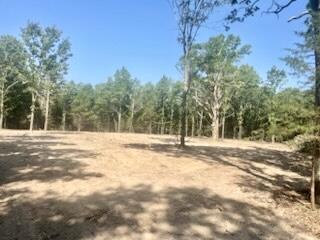 Land for sale – Tract 1&2 W Highway 32   Licking, MO