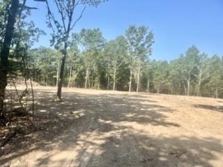 Photo 4 - Land for sale – Tract 1&2 W Highway 32   Licking, MO