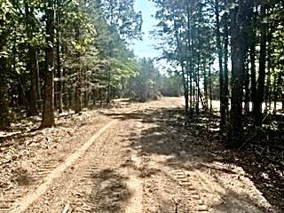 Photo 6 - Land for sale – Tract 1&2 W Highway 32   Licking, MO
