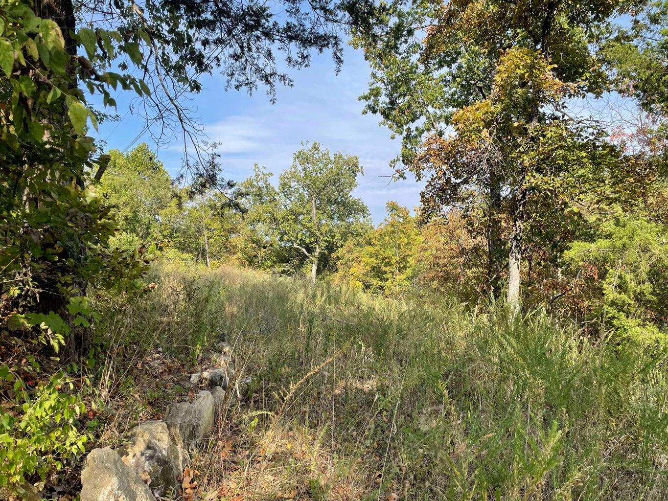 Photo 3 - Land for sale – 000  Lakeview Drive  Hollister, MO