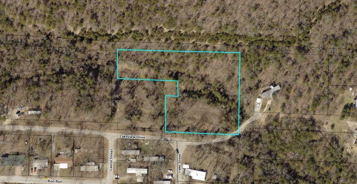Photo 4 - Land for sale – 000  Lakeview Drive  Hollister, MO