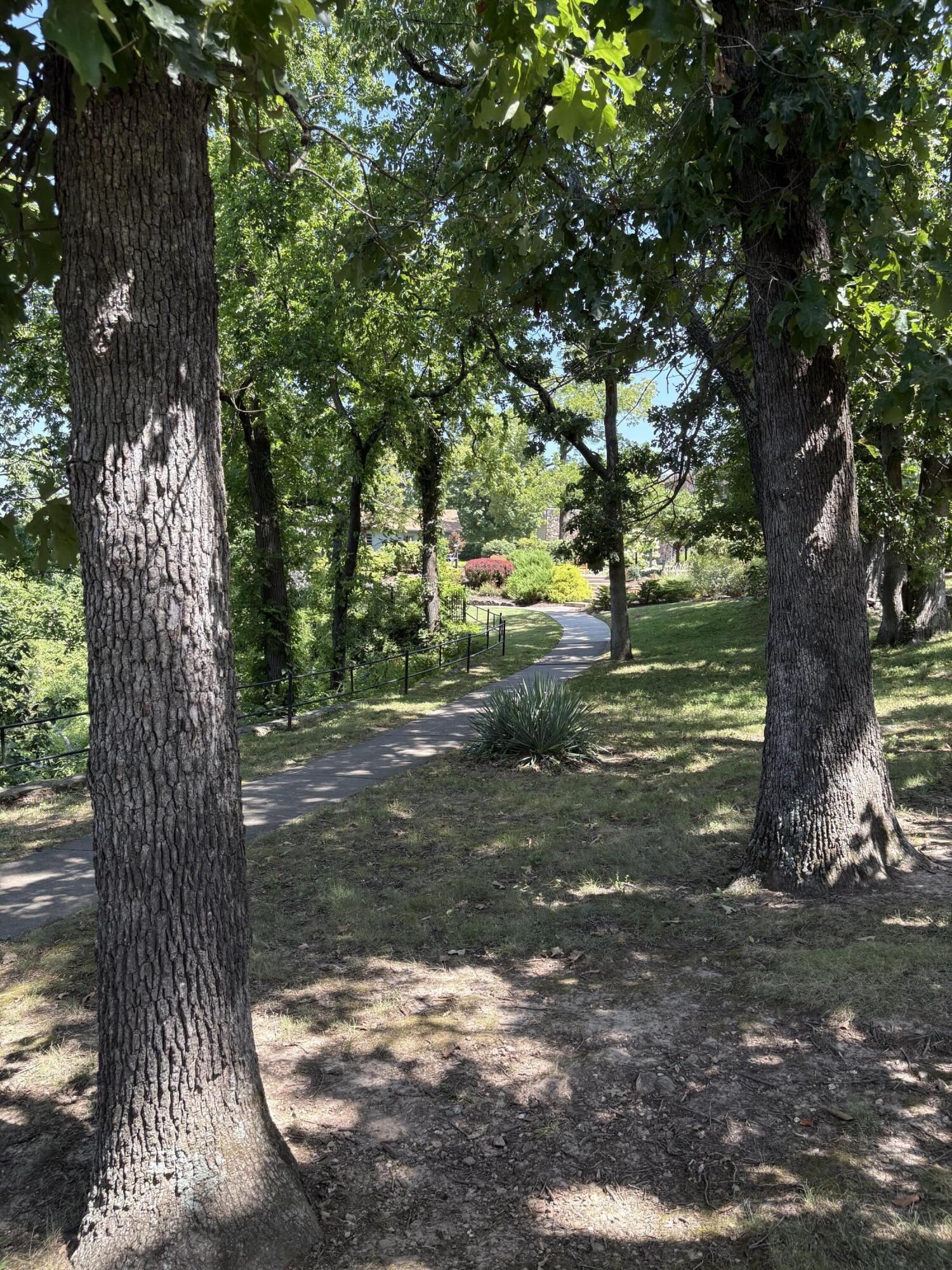 Photo 10 - Land for sale – 000  Lakeview Drive  Hollister, MO