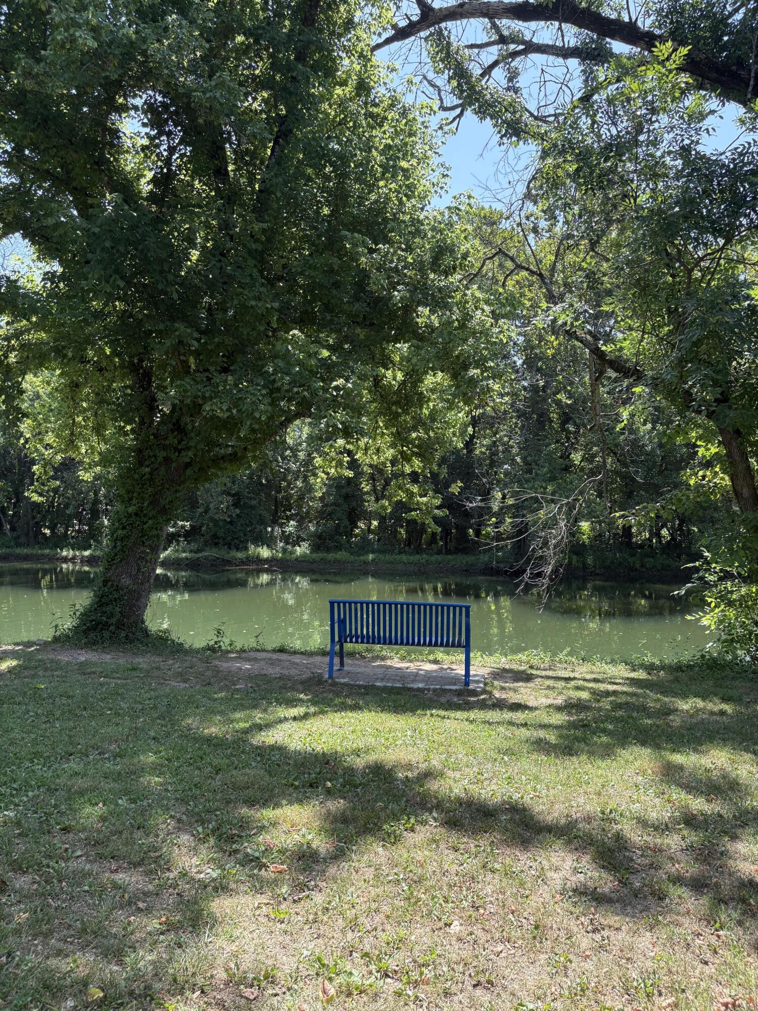 Photo 7 - Land for sale – 000  Lakeview Drive  Hollister, MO