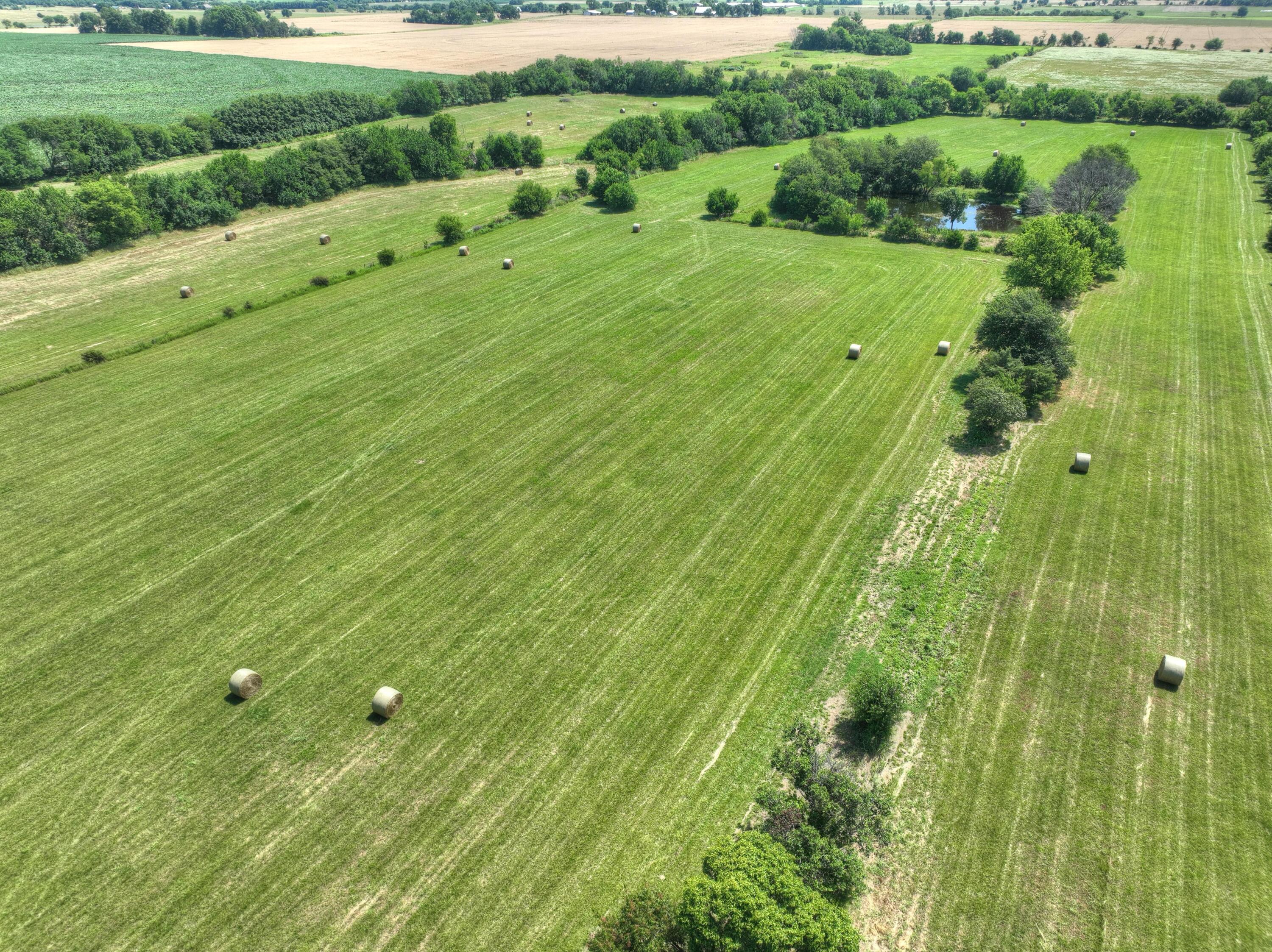 Photo 70 - Farm for sale – 4601  Starling Road  Pierce City, MO