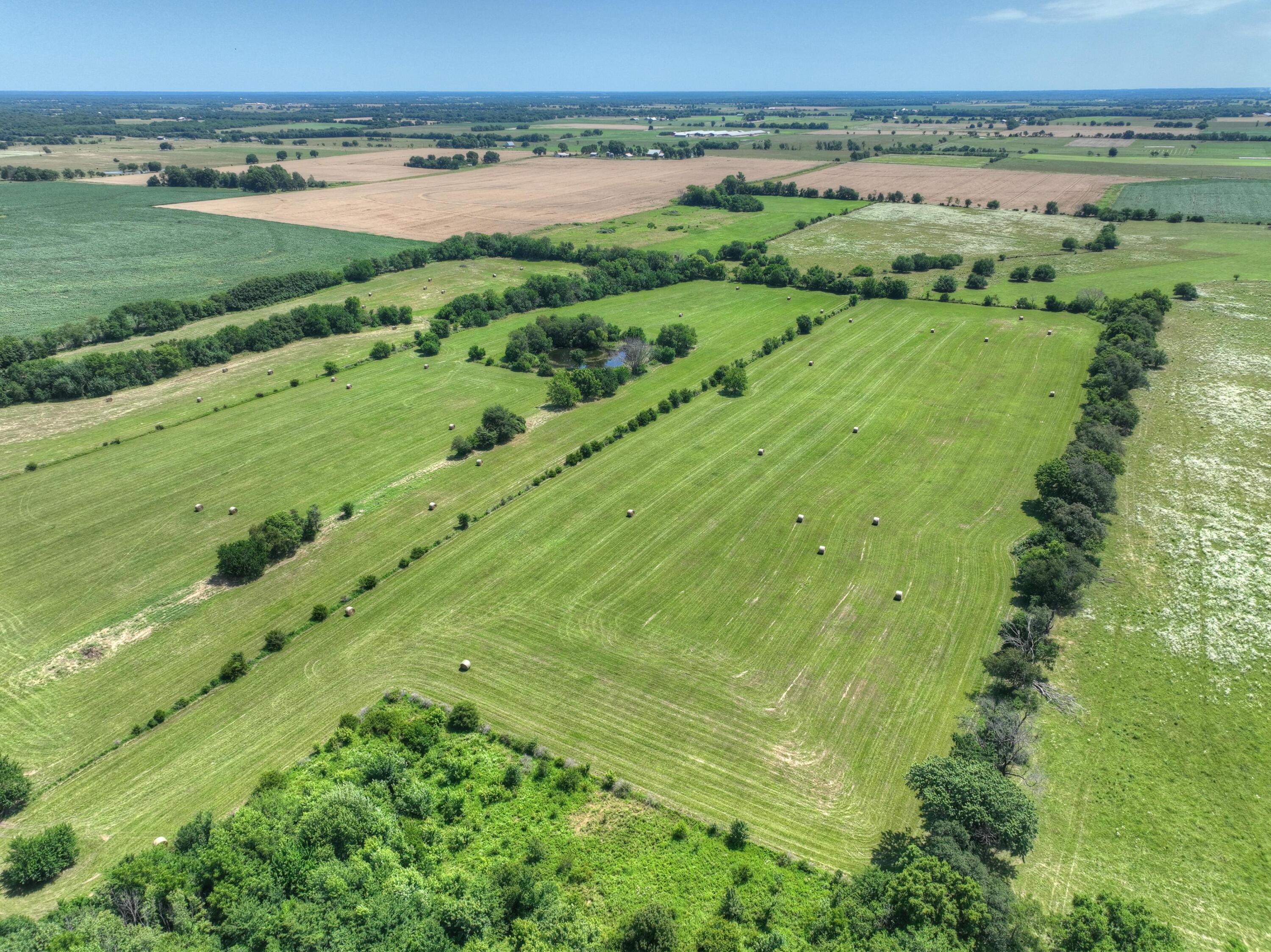Photo 80 - Farm for sale – 4601  Starling Road  Pierce City, MO