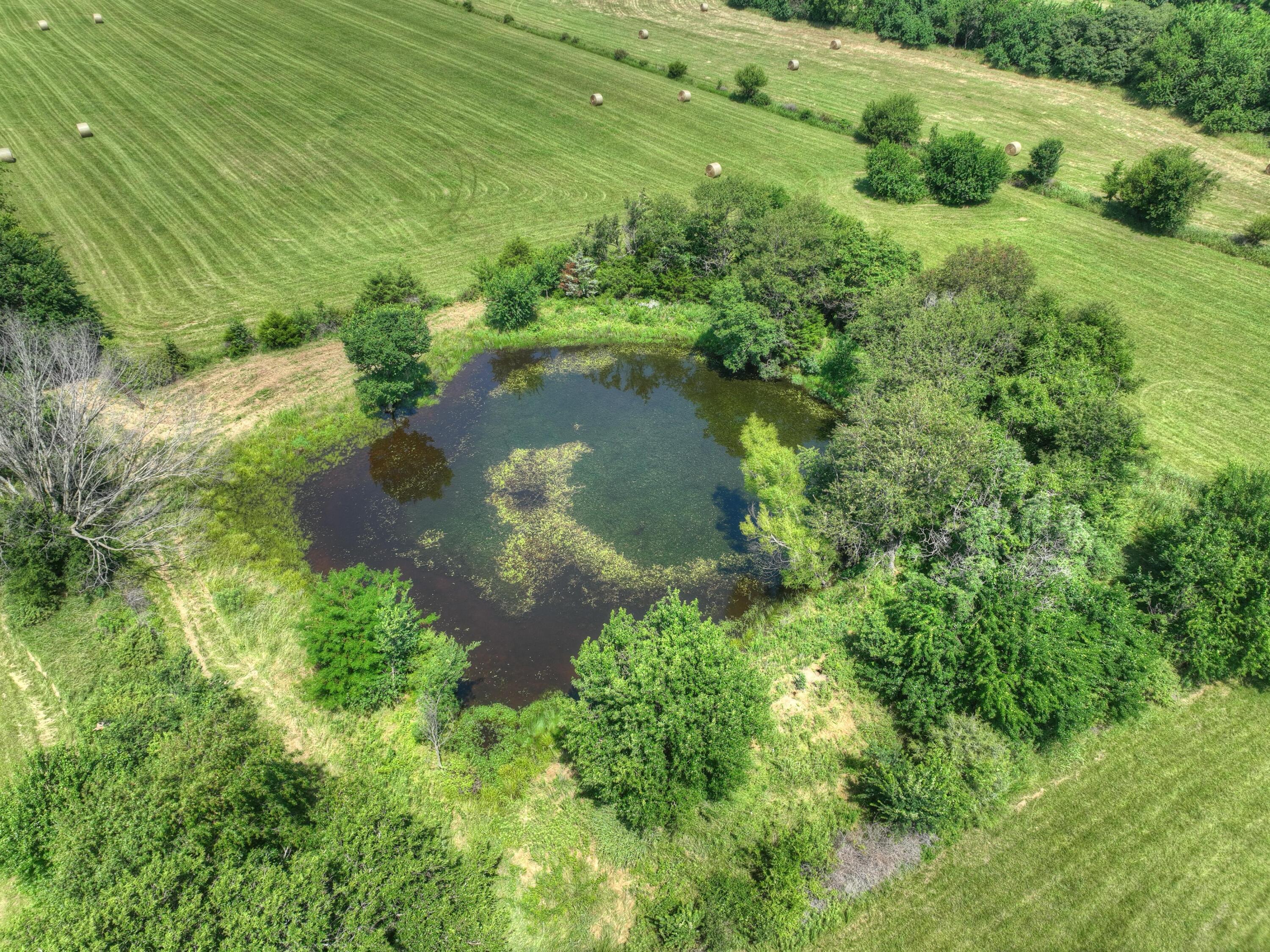 Photo 71 - Farm for sale – 4601  Starling Road  Pierce City, MO
