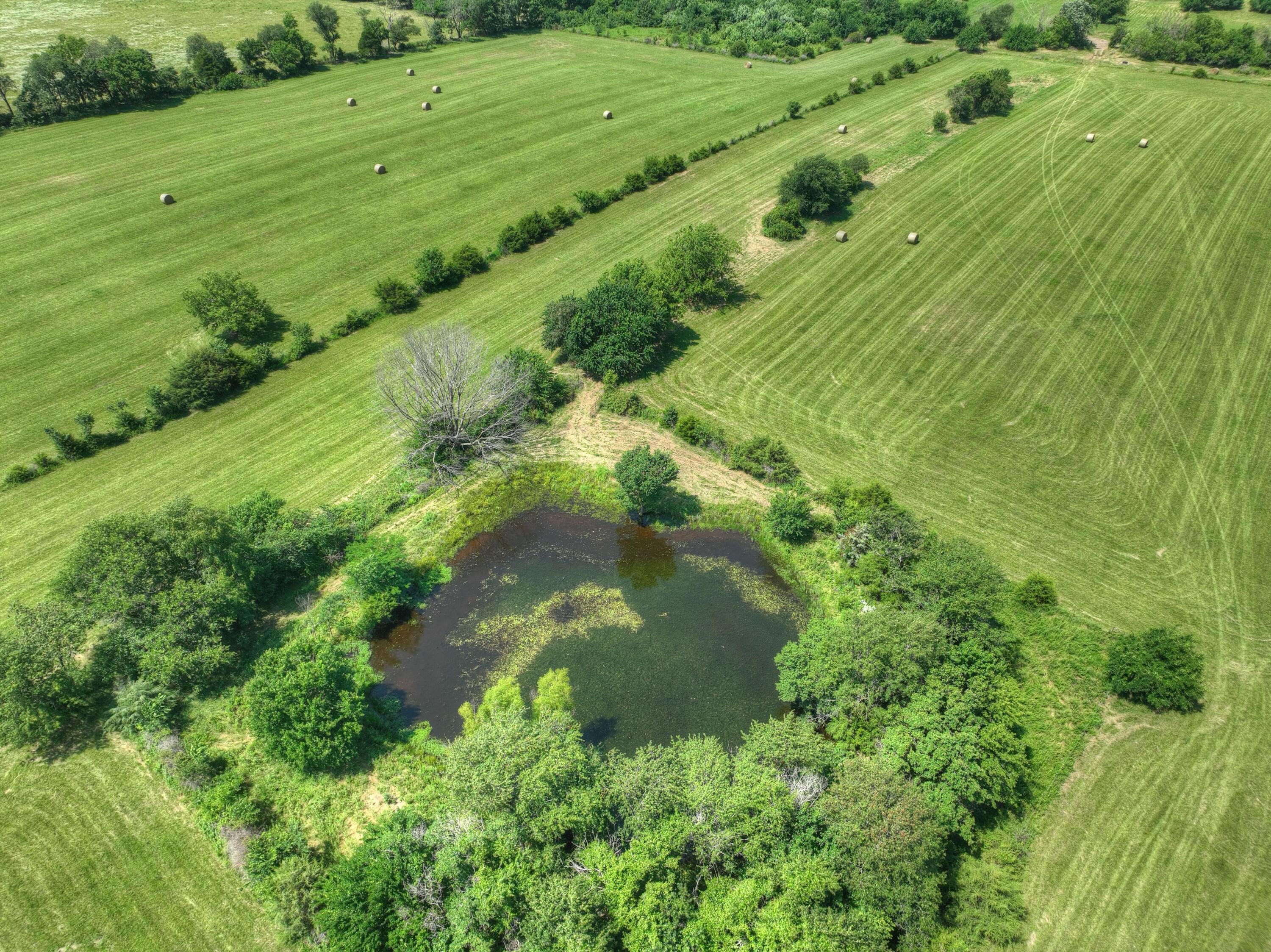 Photo 72 - Farm for sale – 4601  Starling Road  Pierce City, MO