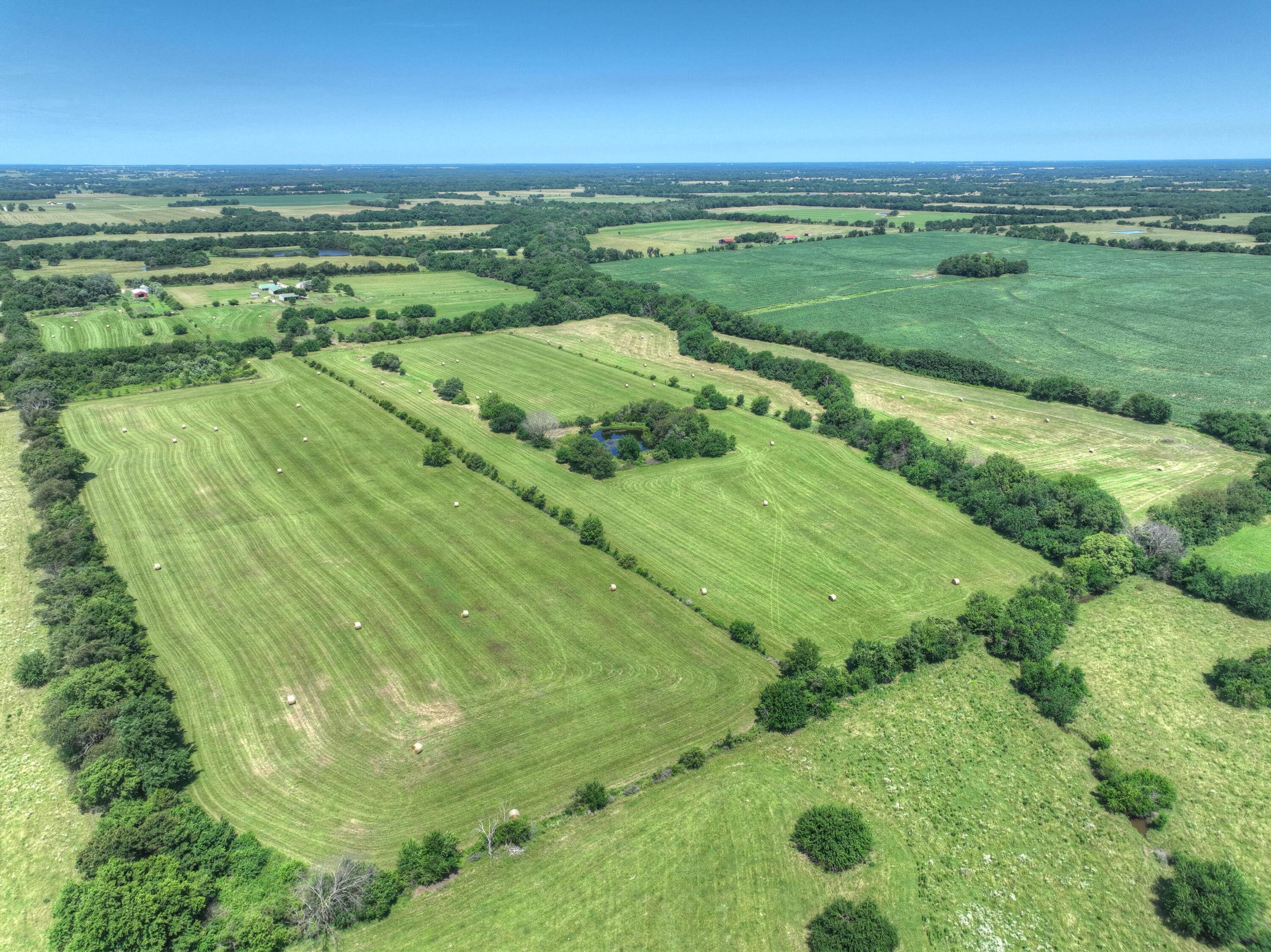 Photo 77 - Farm for sale – 4601  Starling Road  Pierce City, MO