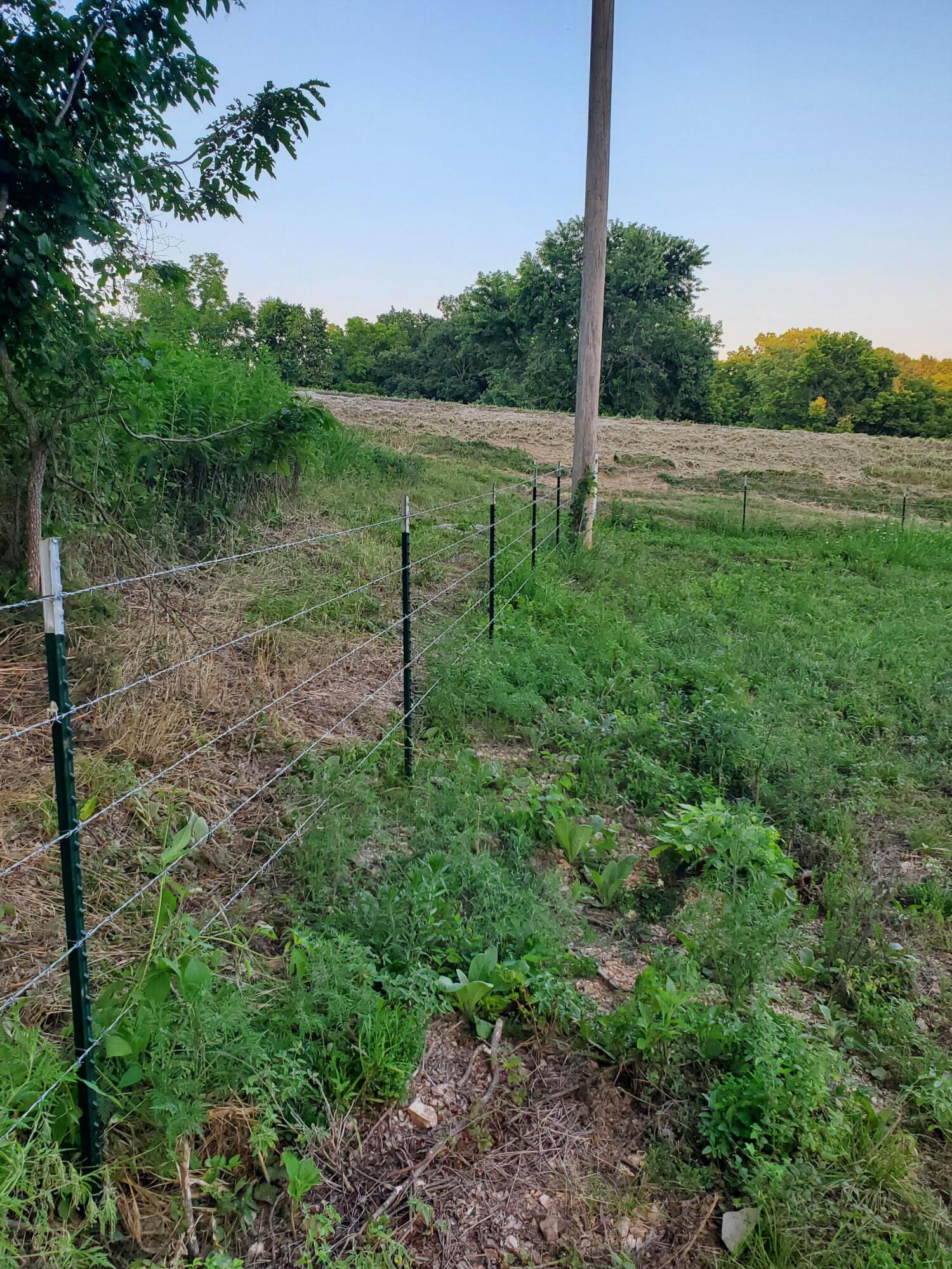 Photo 28 - Land for sale – 000  County Rd 2100   Mt Vernon, MO
