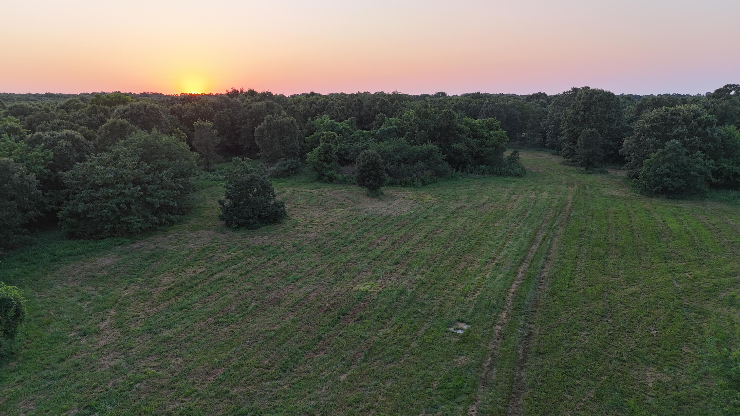 Photo 20 - Land for sale – 000  County Rd 2100   Mt Vernon, MO