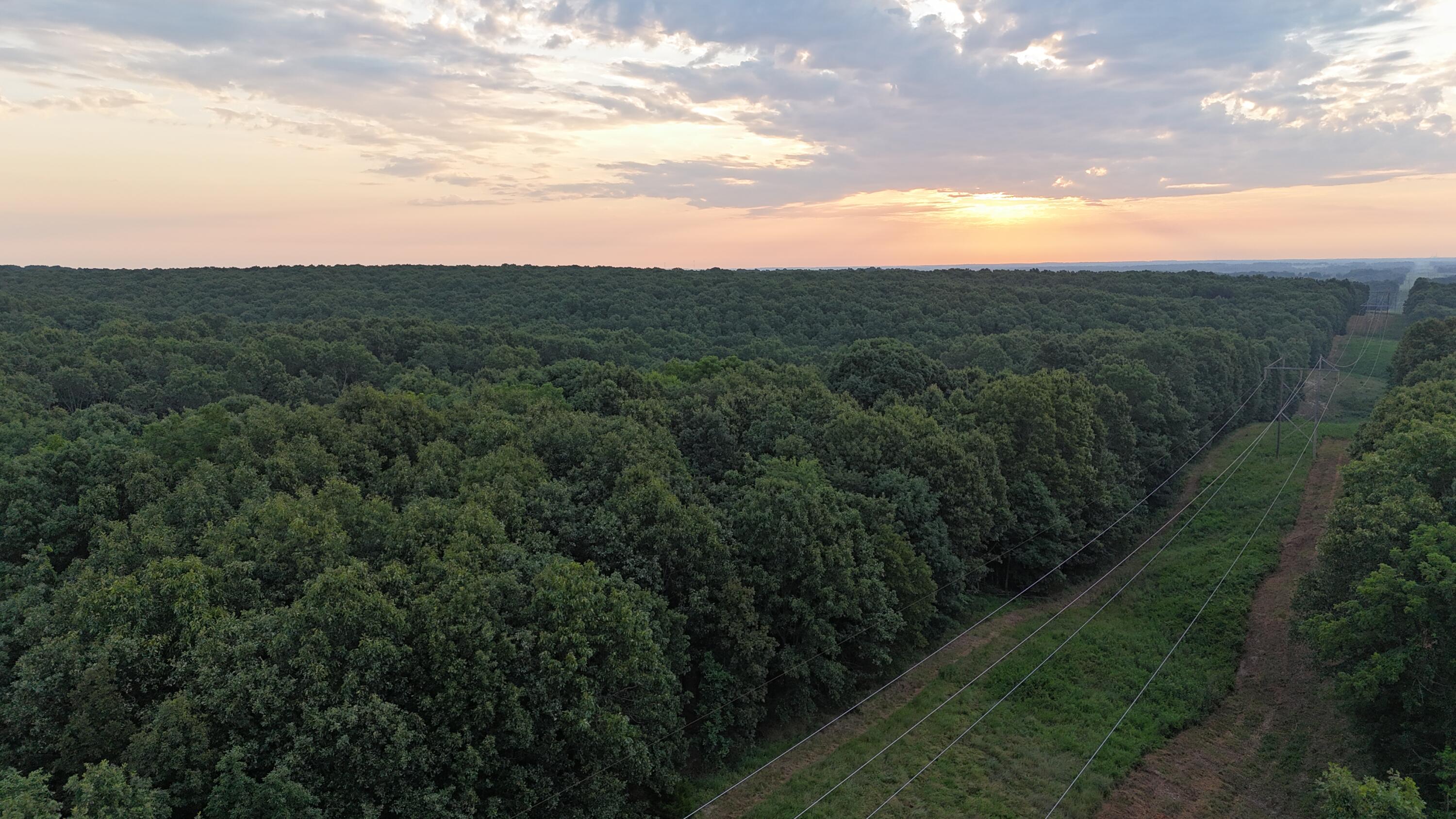 Photo 22 - Land for sale – 000  County Rd 2100   Mt Vernon, MO