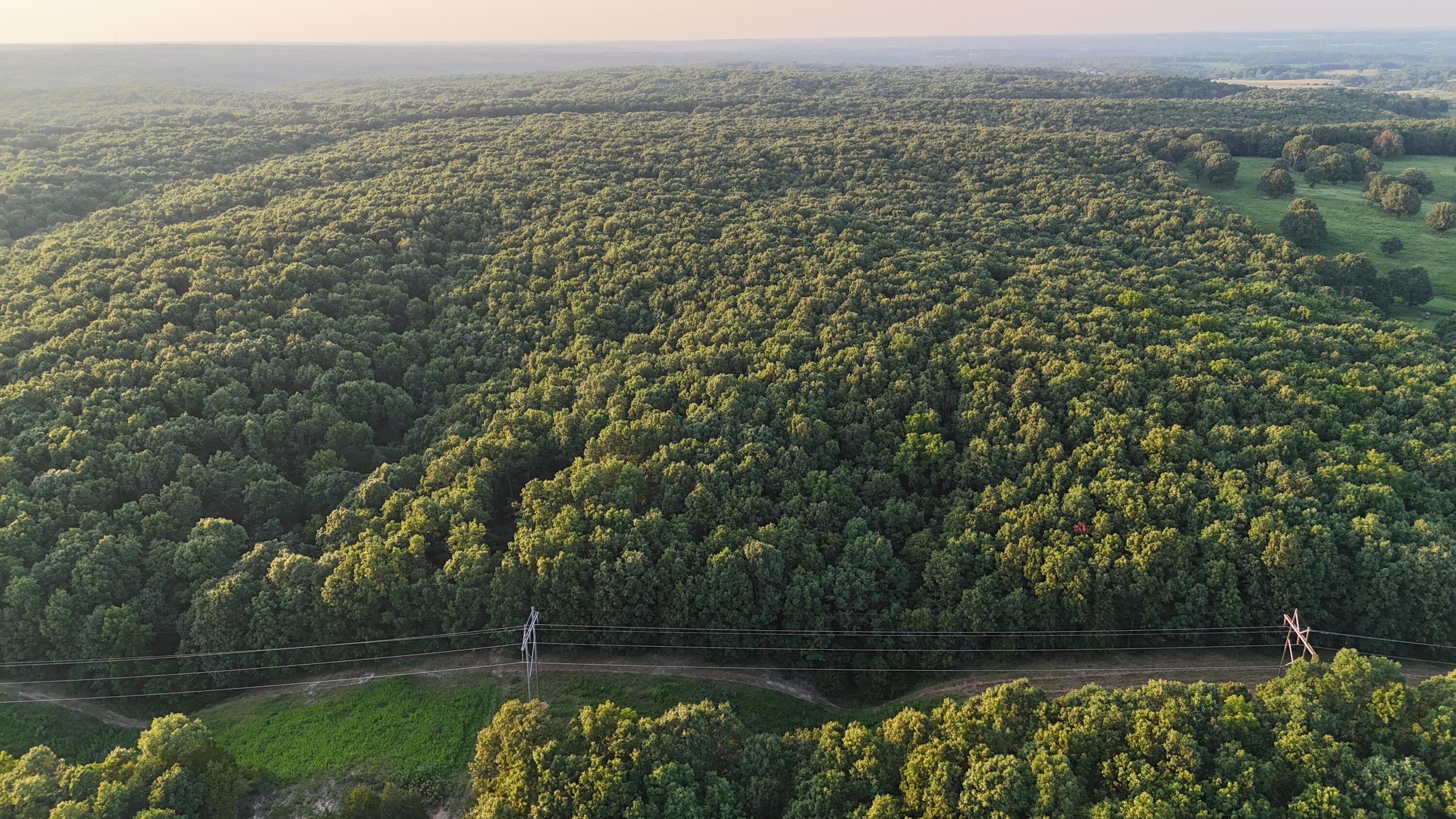 Photo 31 - Land for sale – 000  County Rd 2100   Mt Vernon, MO