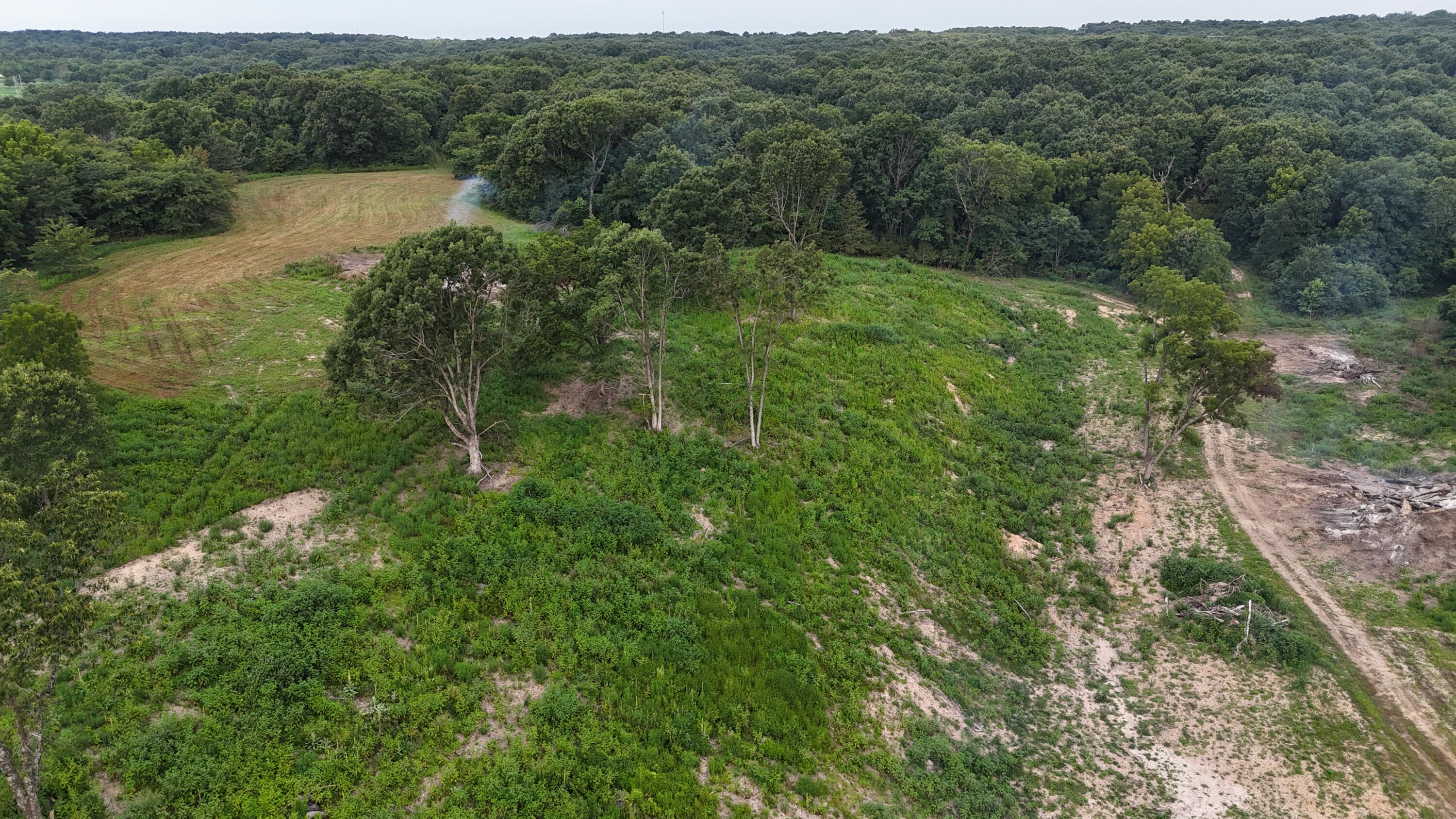 Photo 15 - Land for sale – 000  County Rd 2100   Mt Vernon, MO