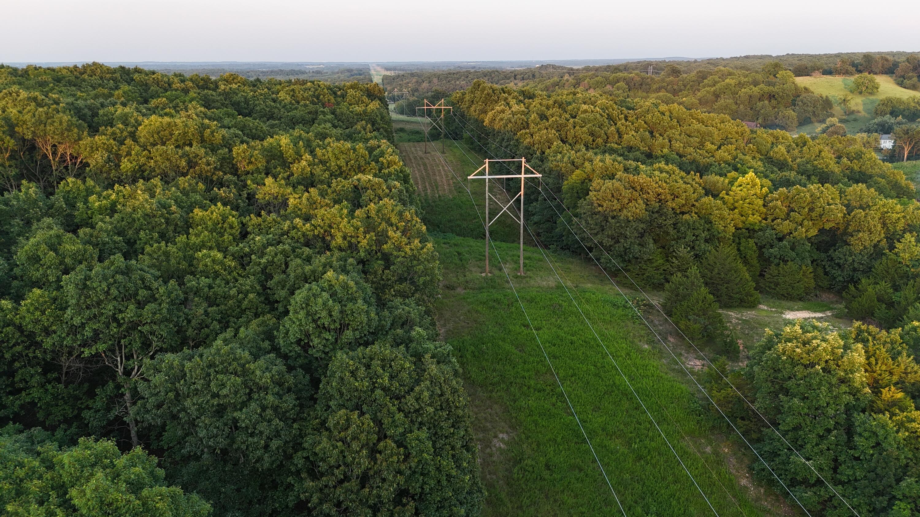 Photo 13 - Land for sale – 000  County Rd 2100   Mt Vernon, MO