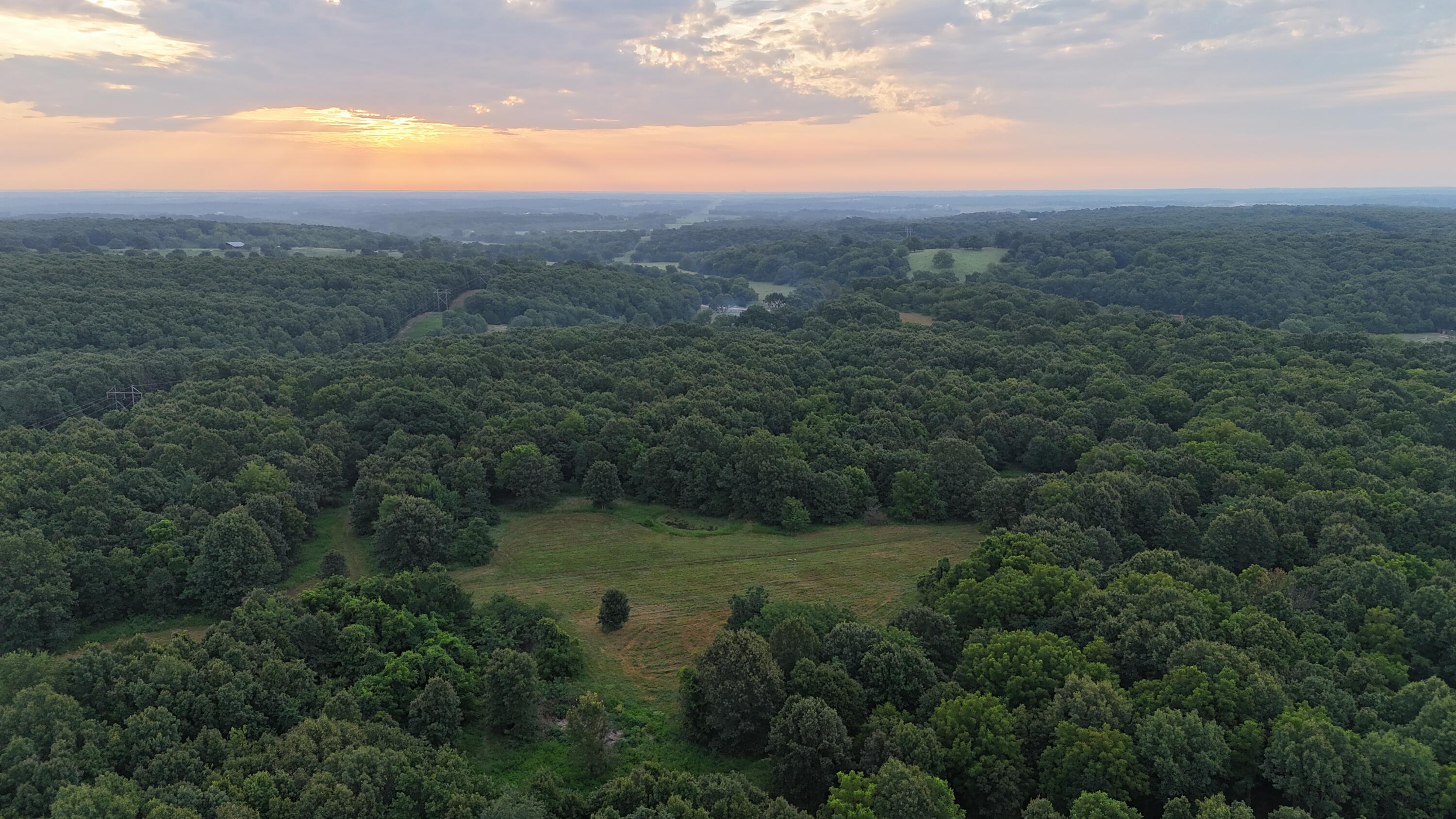Photo 6 - Land for sale – 000  County Rd 2100   Mt Vernon, MO