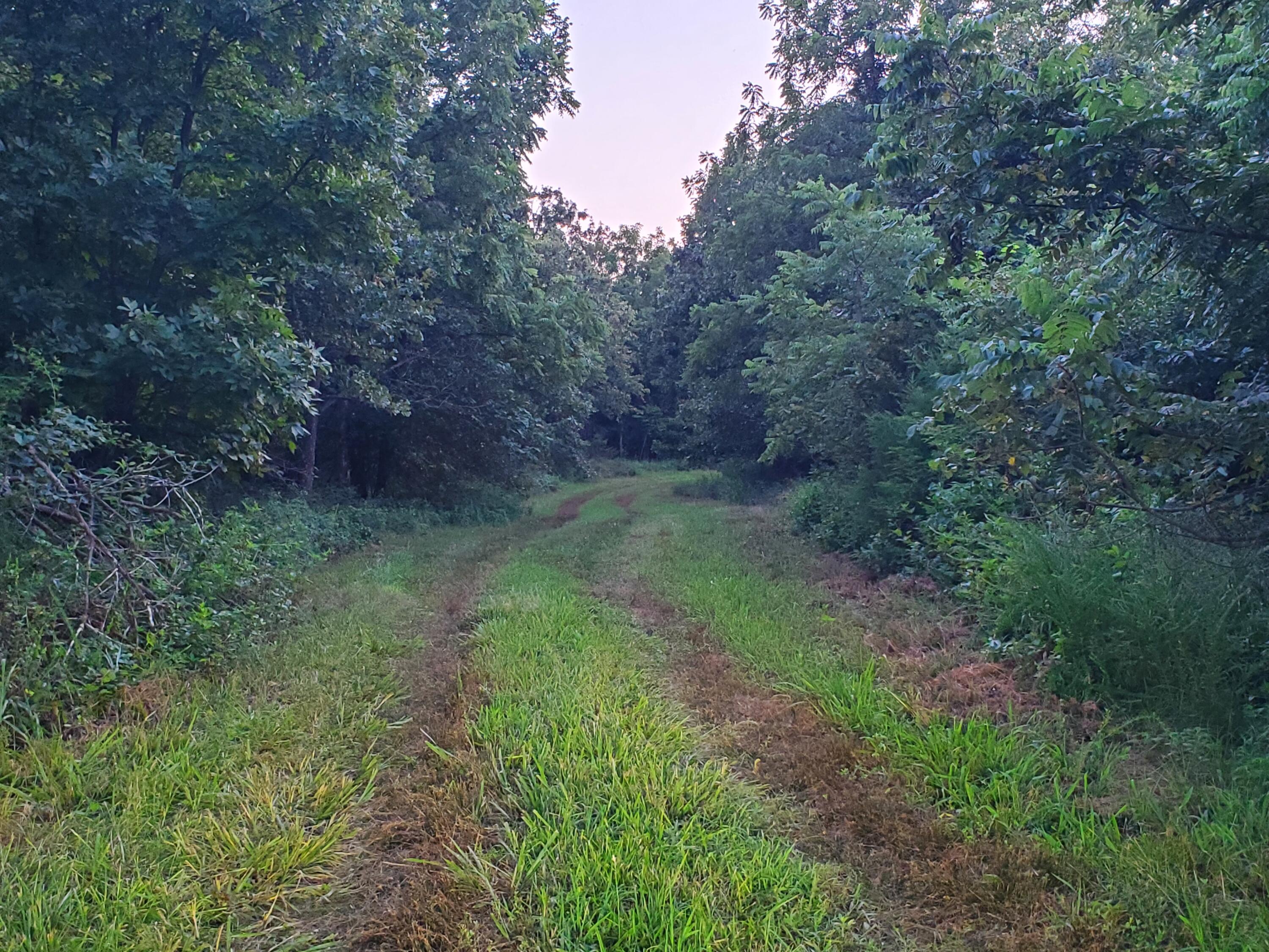 Photo 26 - Land for sale – 000  County Rd 2100   Mt Vernon, MO