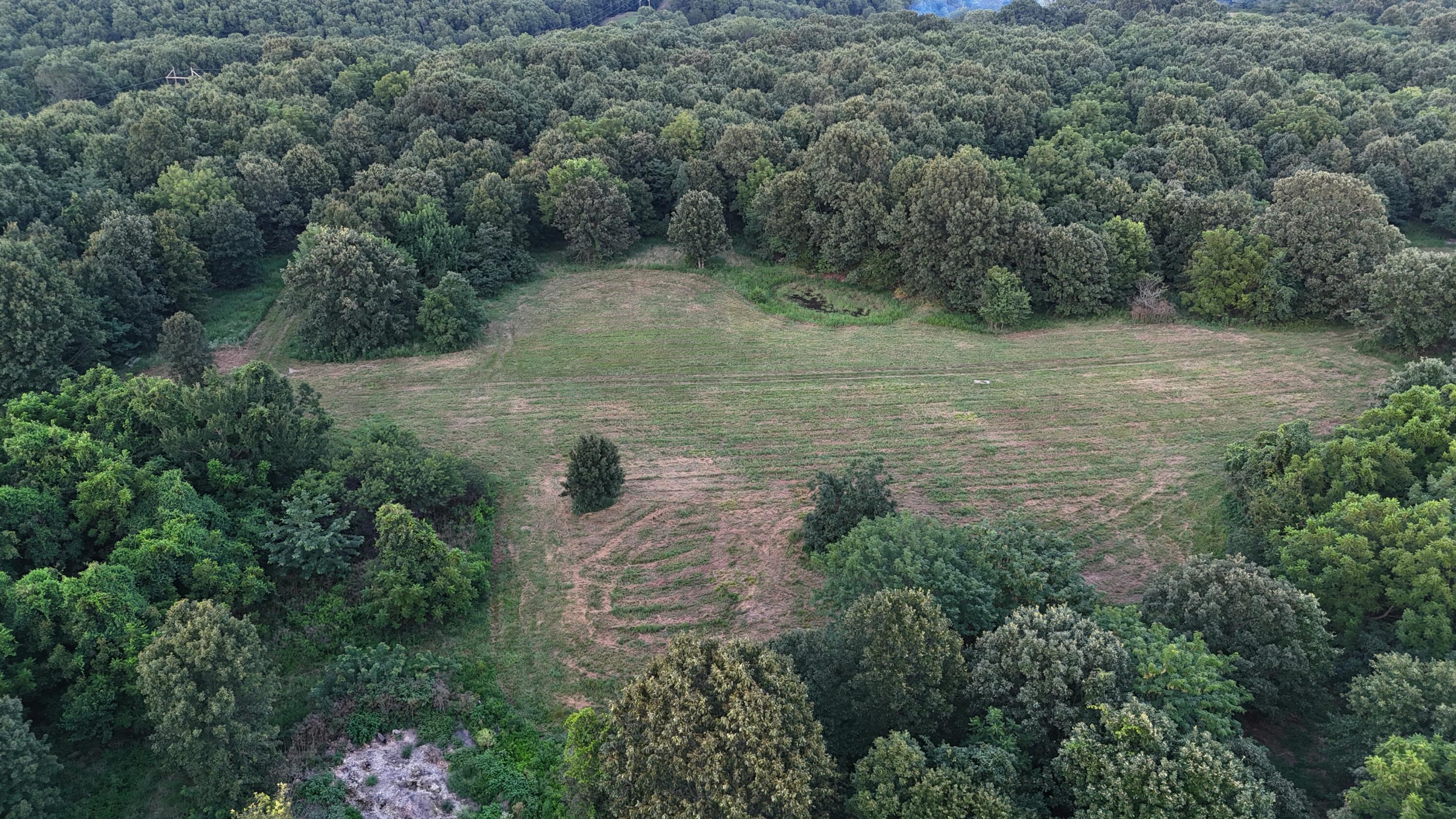 Photo 33 - Land for sale – 000  County Rd 2100   Mt Vernon, MO