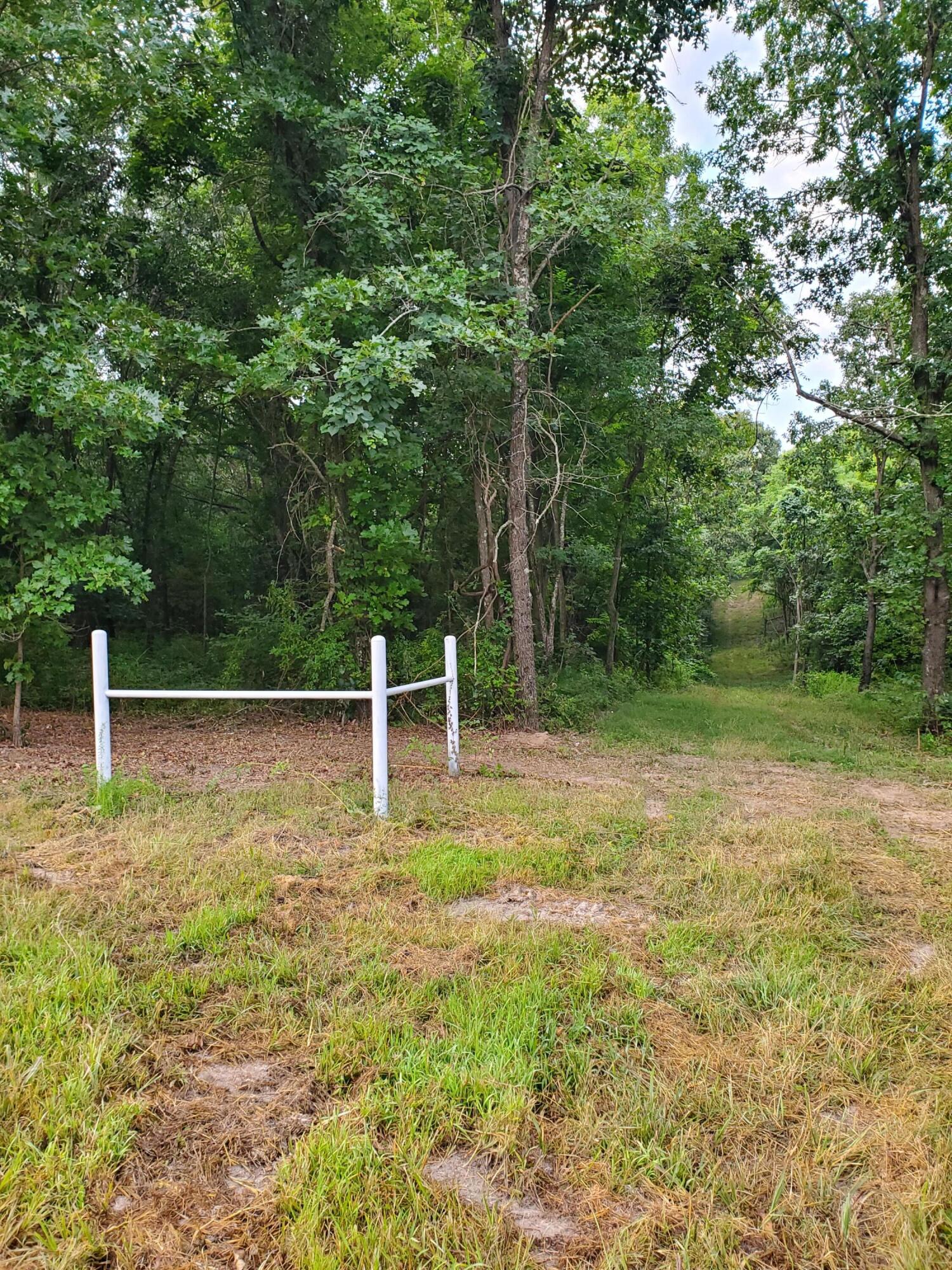 Photo 30 - Land for sale – 000  County Rd 2100   Mt Vernon, MO