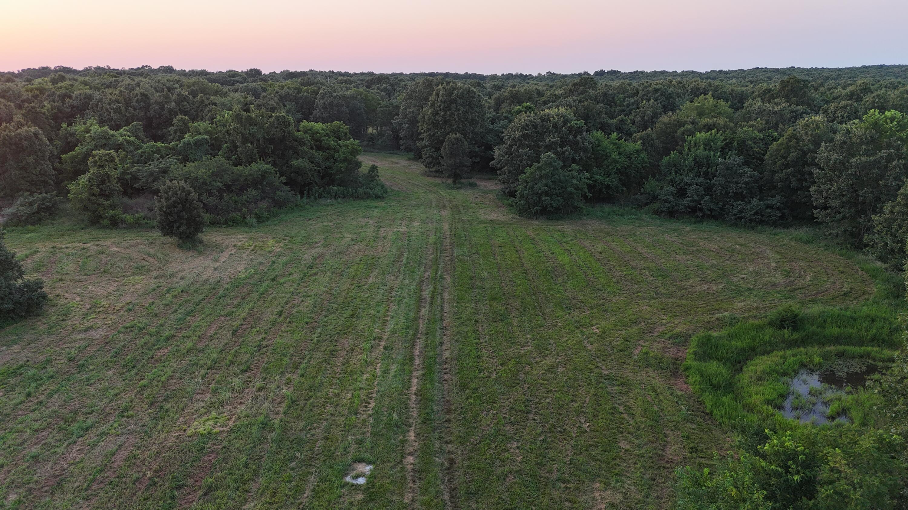 Photo 8 - Land for sale – 000  County Rd 2100   Mt Vernon, MO