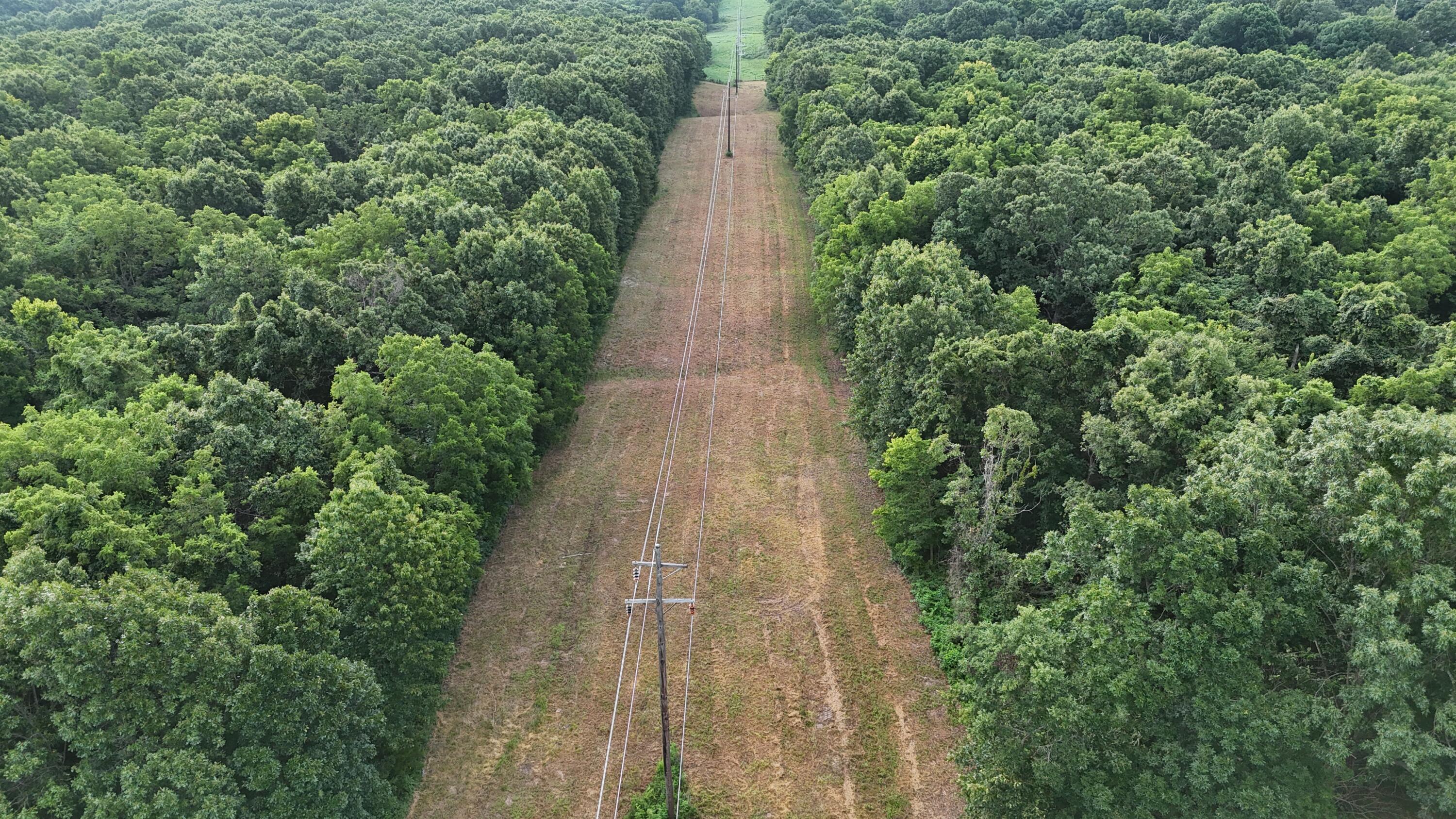 Photo 17 - Land for sale – 000  County Rd 2100   Mt Vernon, MO