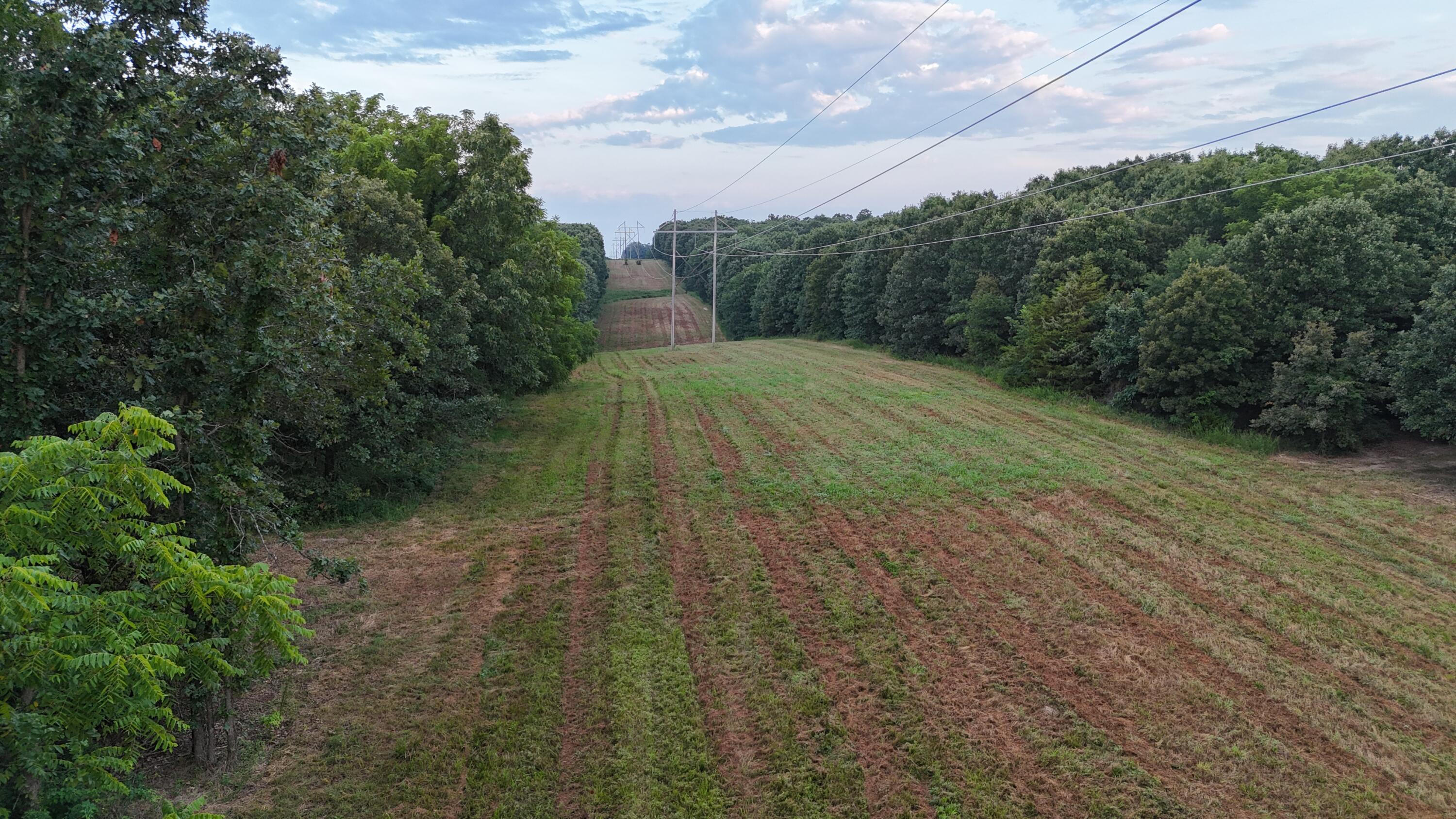 Photo 9 - Land for sale – 000  County Rd 2100   Mt Vernon, MO