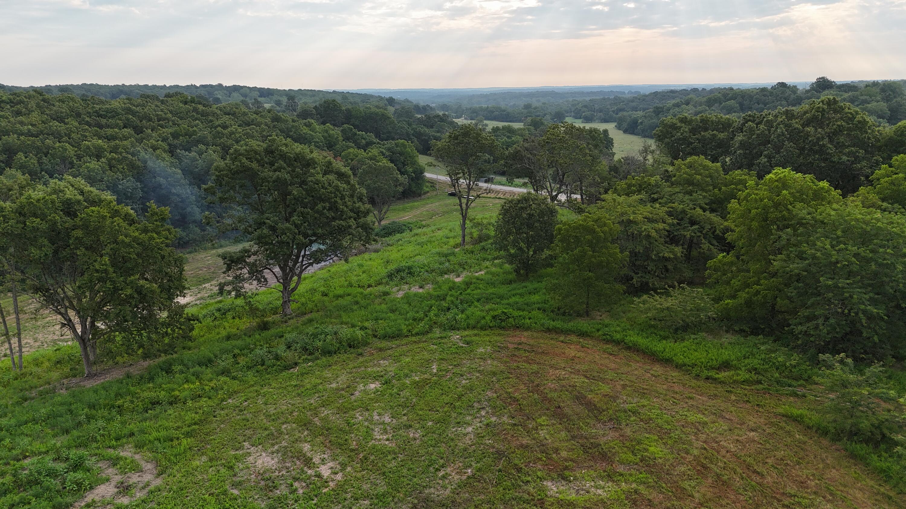 Photo 3 - Land for sale – 000  County Rd 2100   Mt Vernon, MO