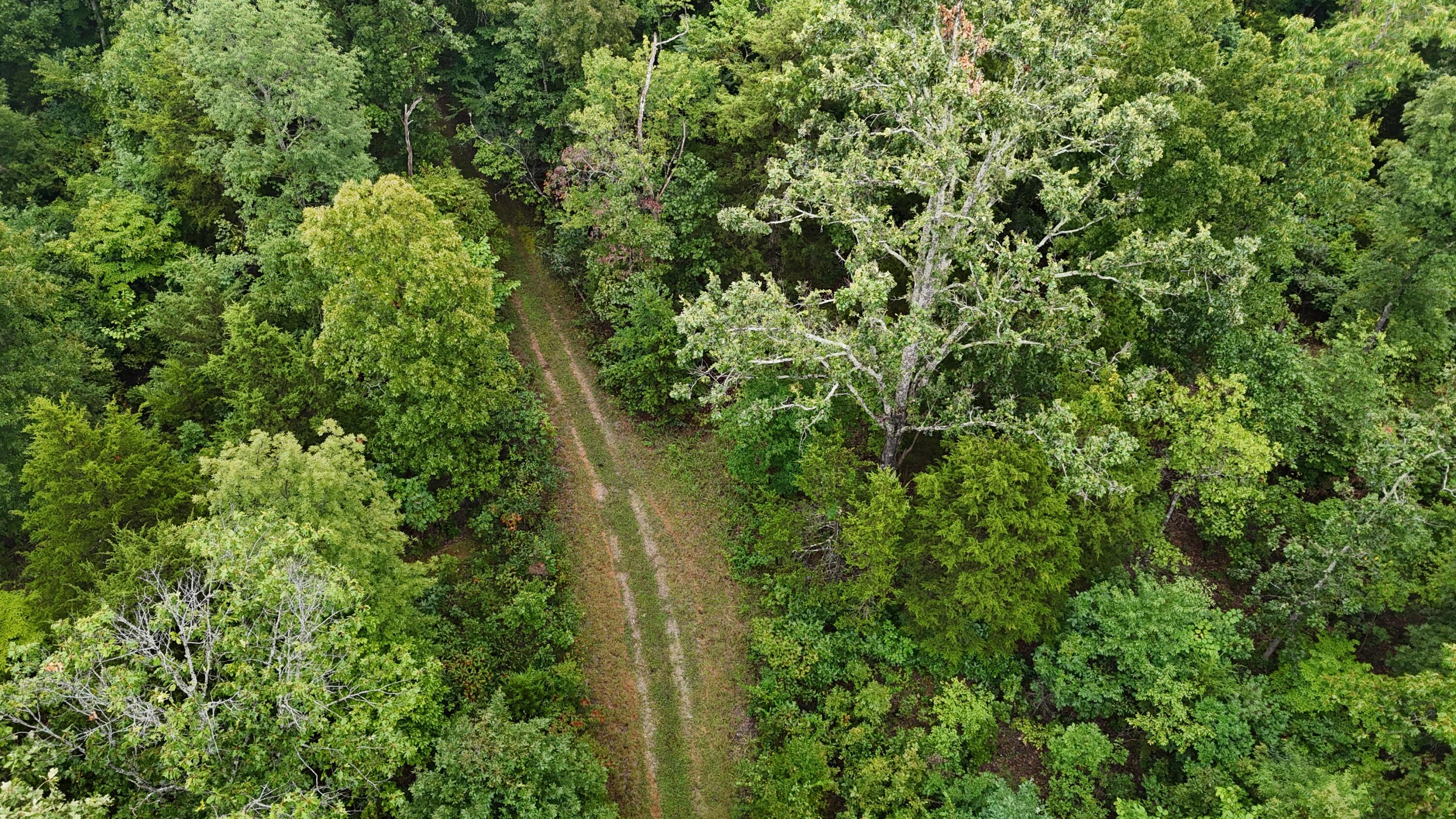 Photo 13 - Land for sale – 0000  County Road Jj-416   Ava, MO