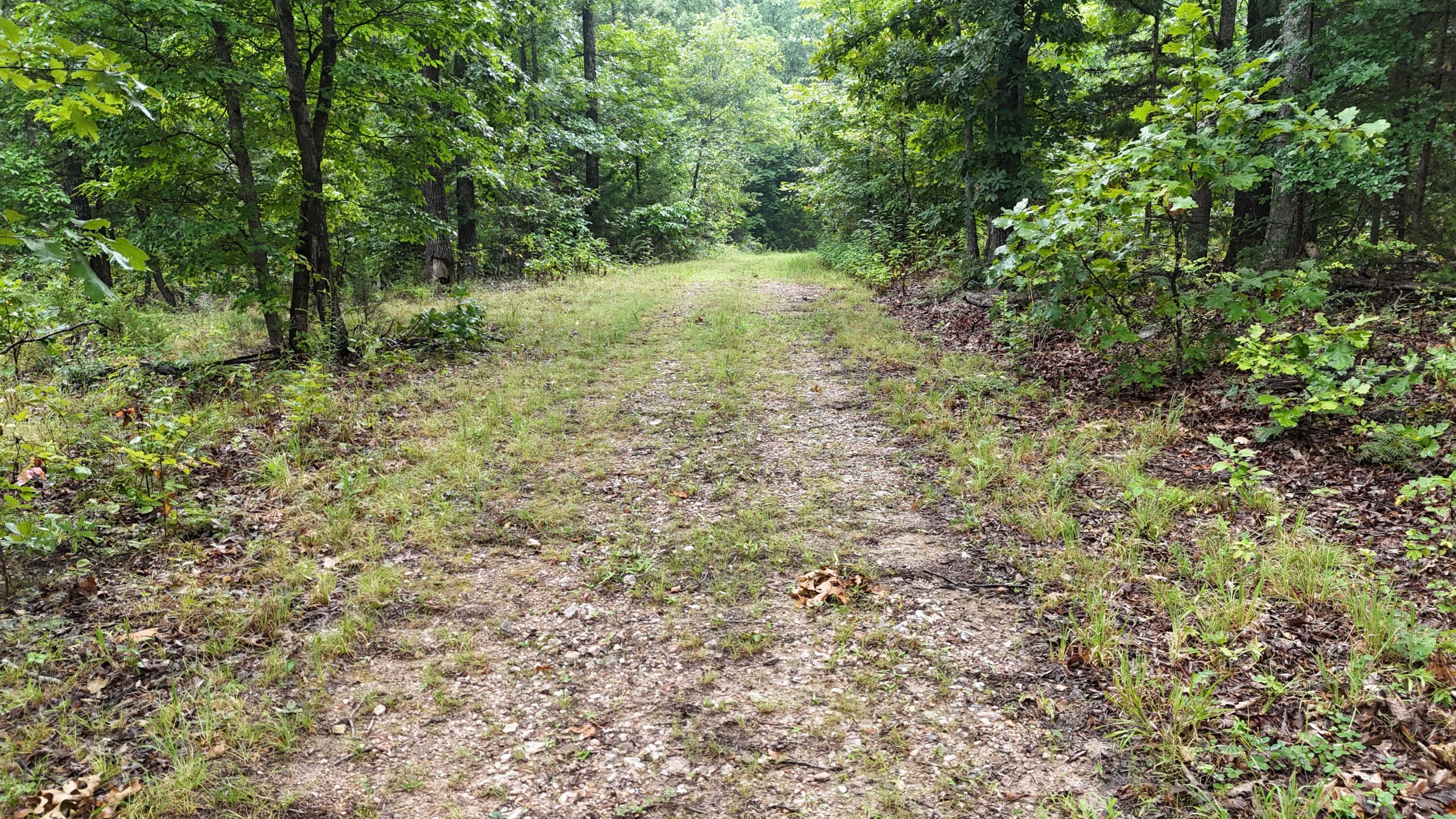 Photo 24 - Land for sale – 0000  County Road Jj-416   Ava, MO