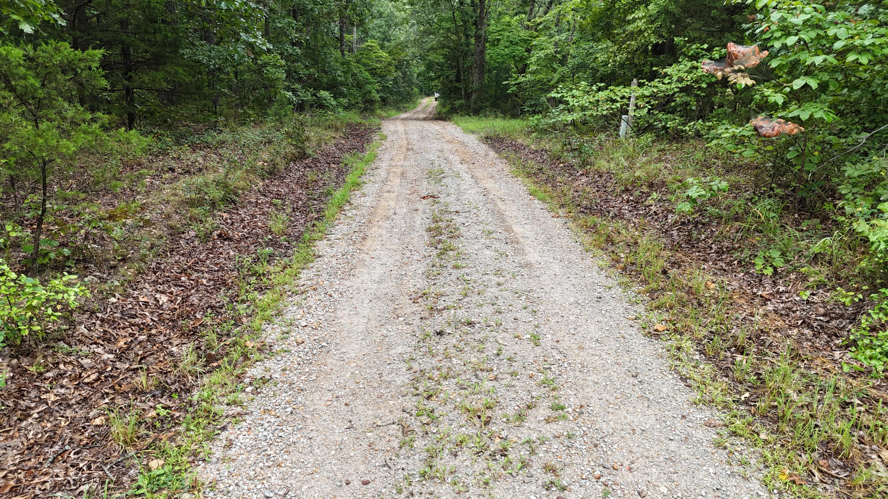 Photo 30 - Land for sale – 0000  County Road Jj-416   Ava, MO