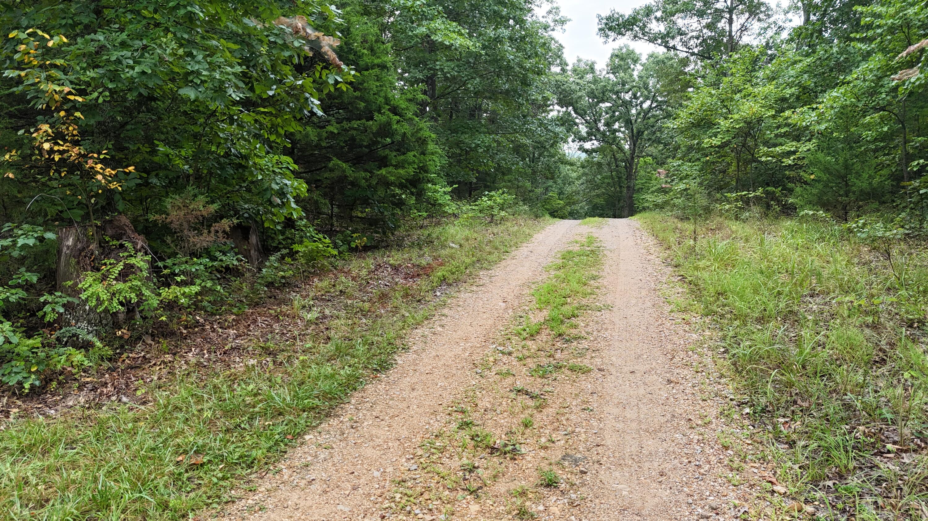 Photo 27 - Land for sale – 0000  County Road Jj-416   Ava, MO