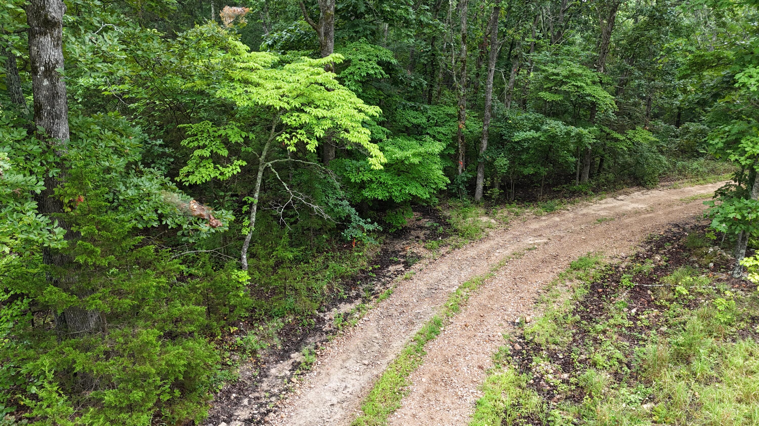 Photo 34 - Land for sale – 0000  County Road Jj-416   Ava, MO
