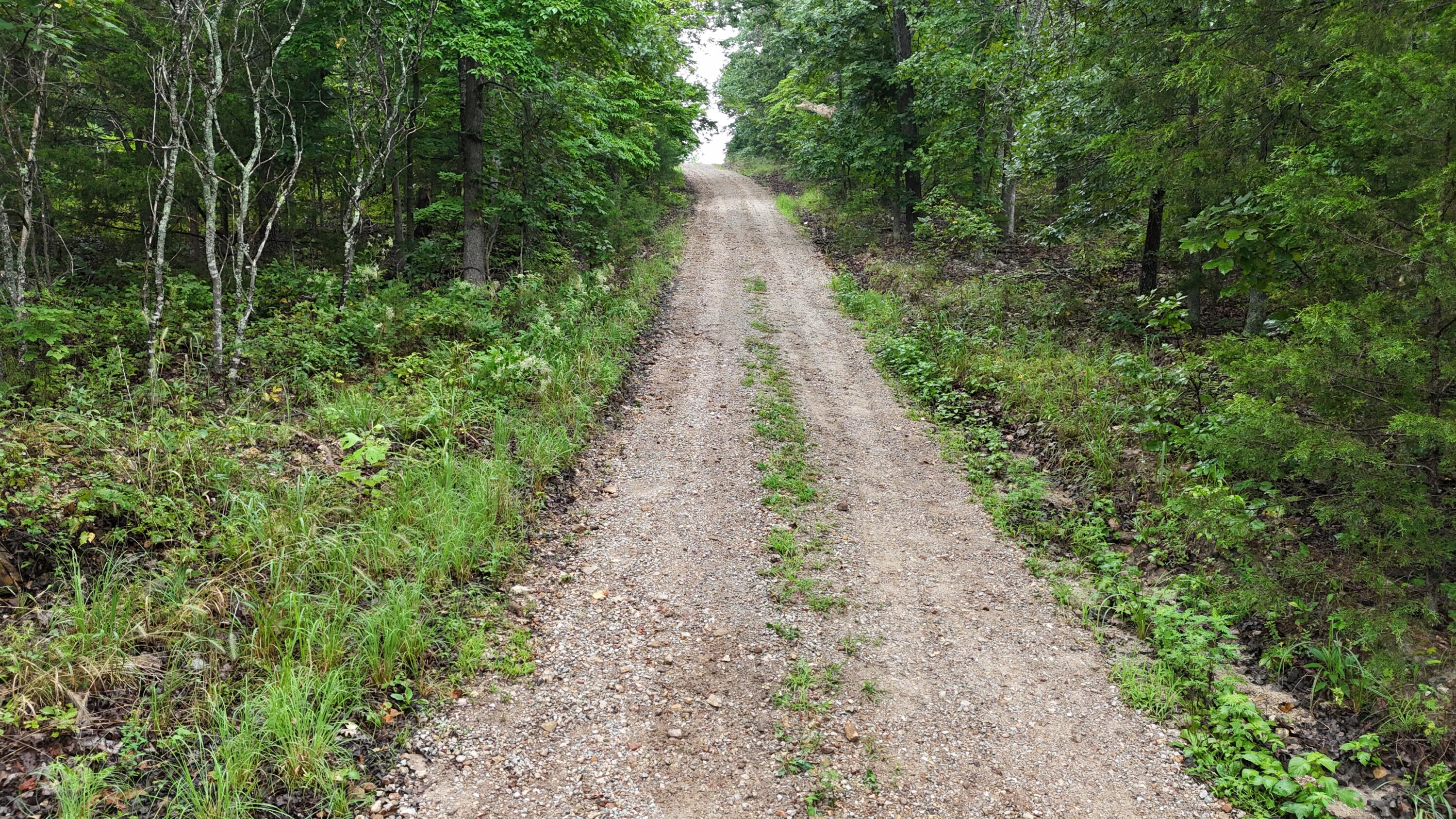 Photo 6 - Land for sale – 0000  County Road Jj-416   Ava, MO
