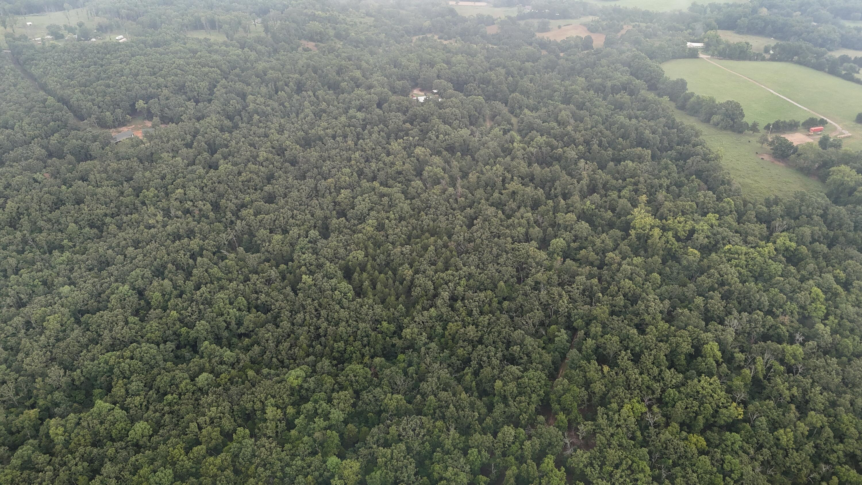 Photo 29 - Land for sale – 0000  County Road Jj-416   Ava, MO