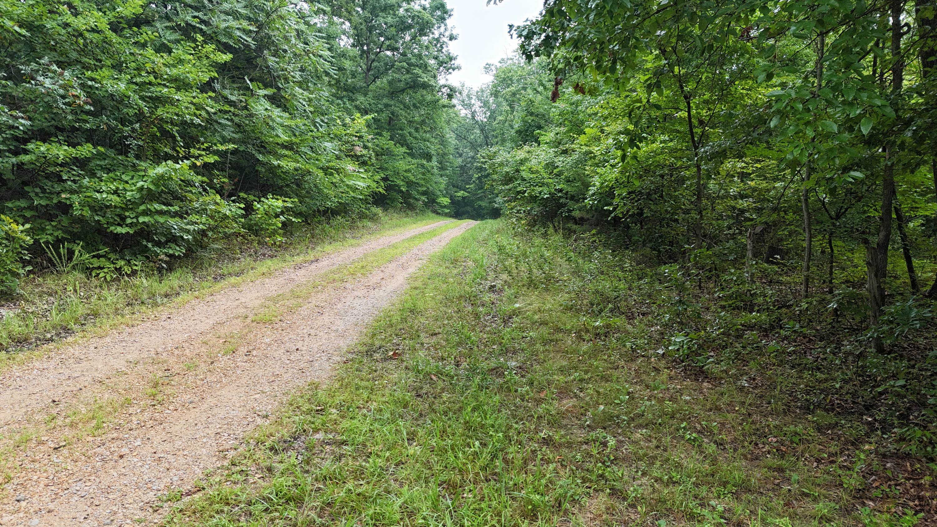 Photo 26 - Land for sale – 0000  County Road Jj-416   Ava, MO