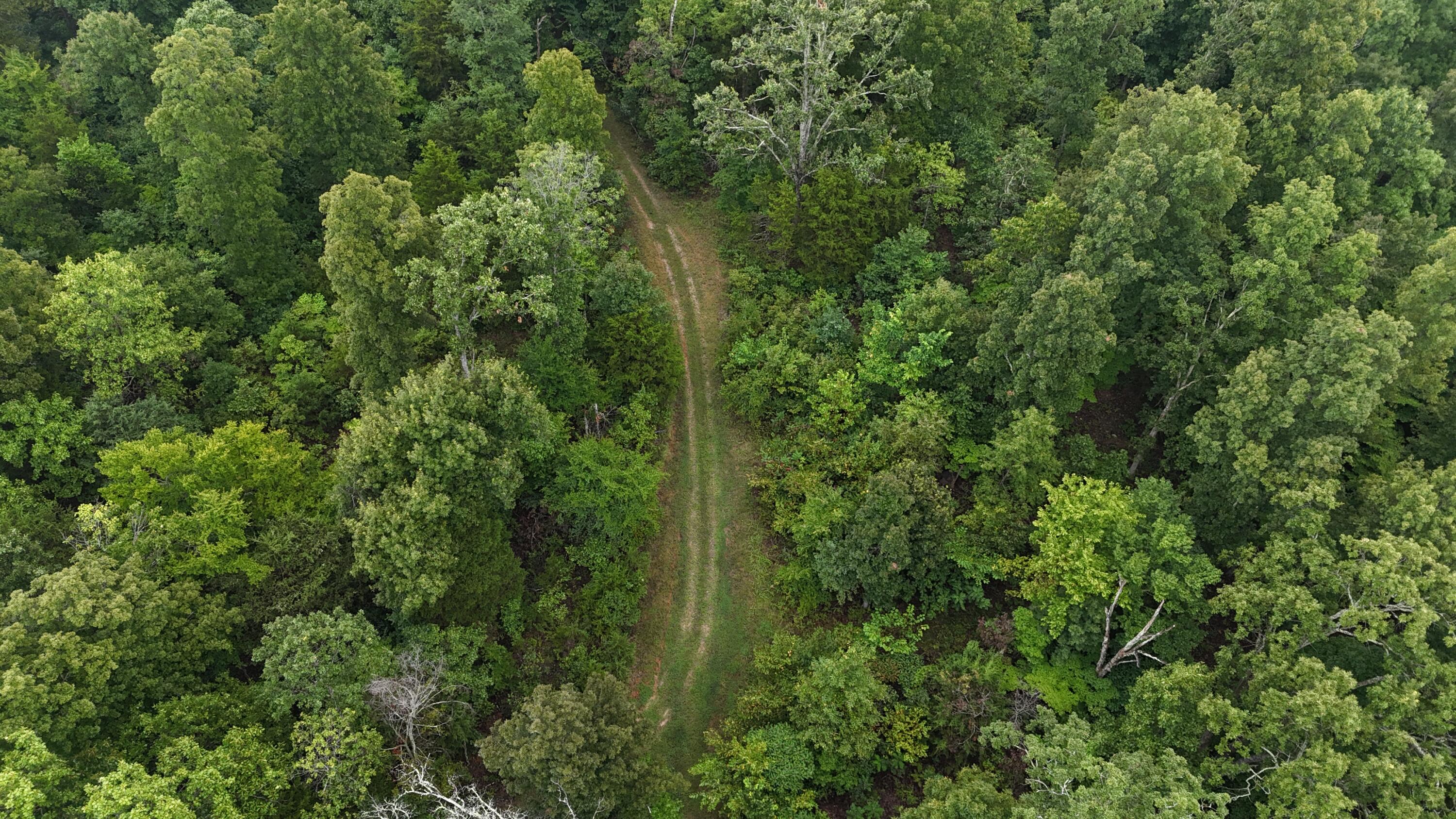 Photo 14 - Land for sale – 0000  County Road Jj-416   Ava, MO