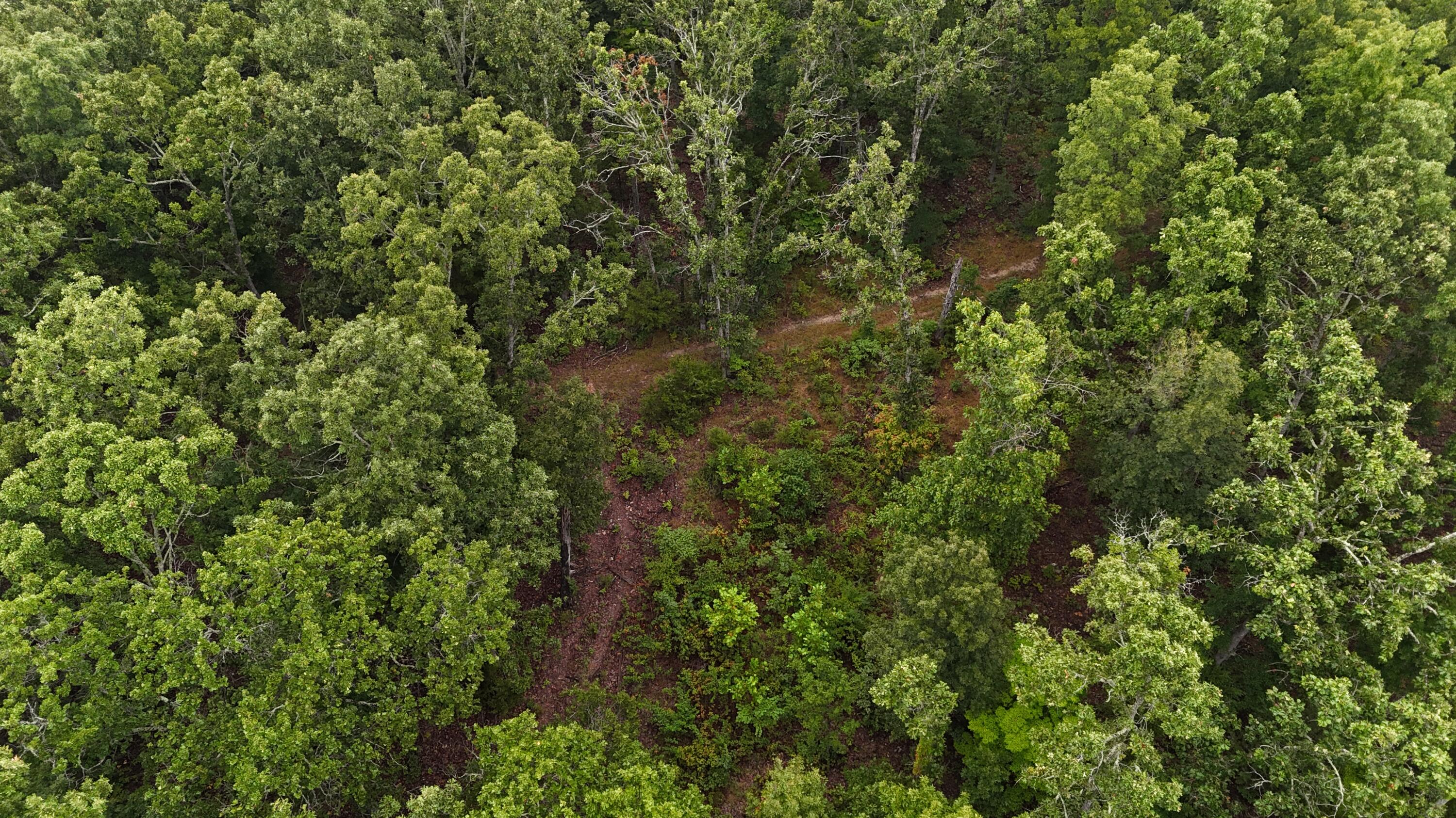 Photo 17 - Land for sale – 0000  County Road Jj-416   Ava, MO